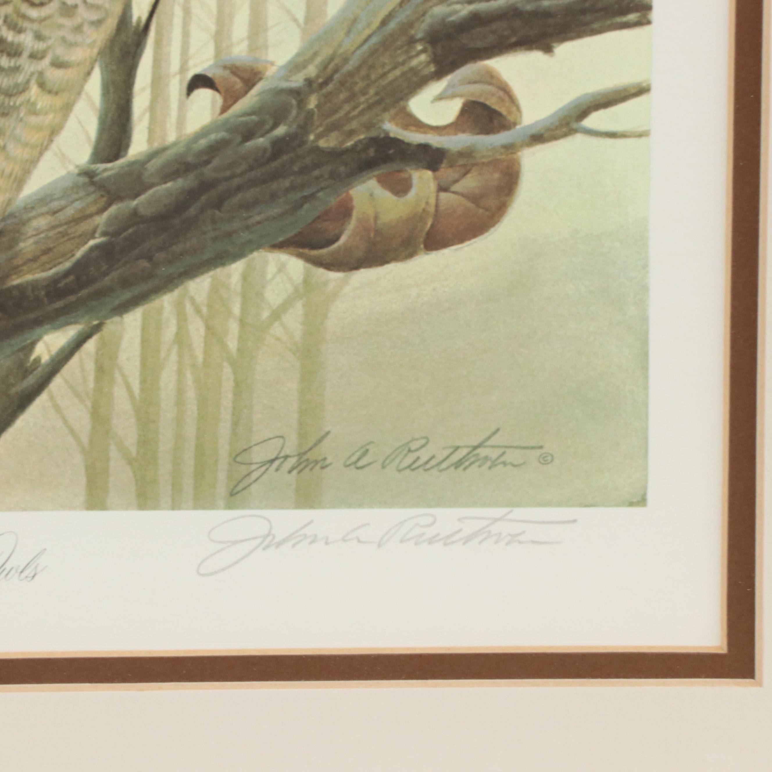 John Ruthven Offset Lithograph "Great Horned Owls"