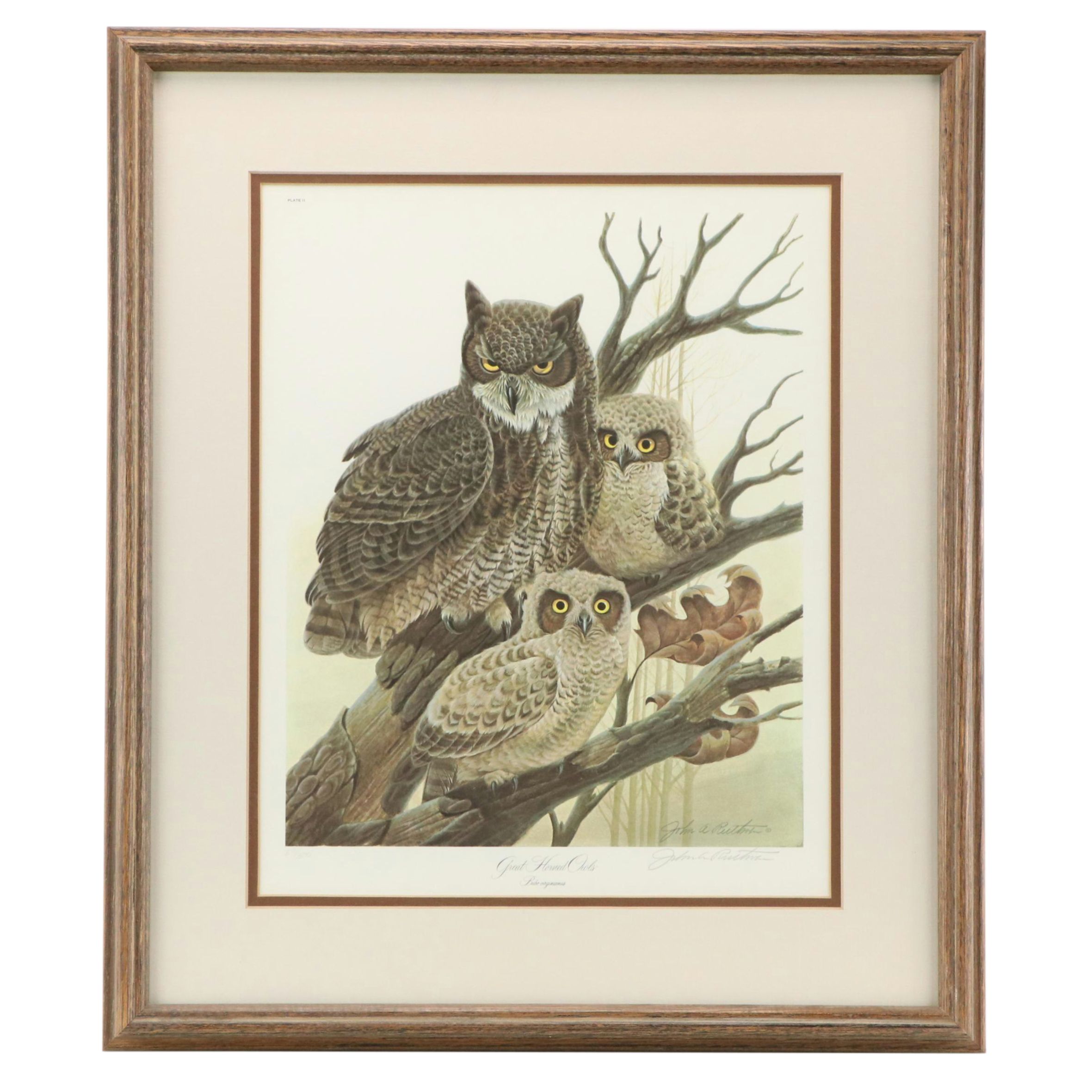John Ruthven Offset Lithograph "Great Horned Owls"
