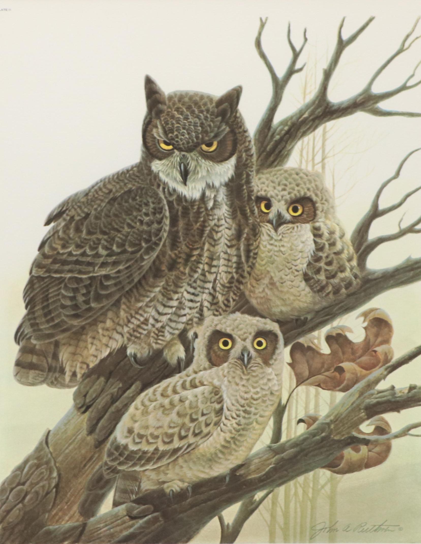 John Ruthven Offset Lithograph "Great Horned Owls"