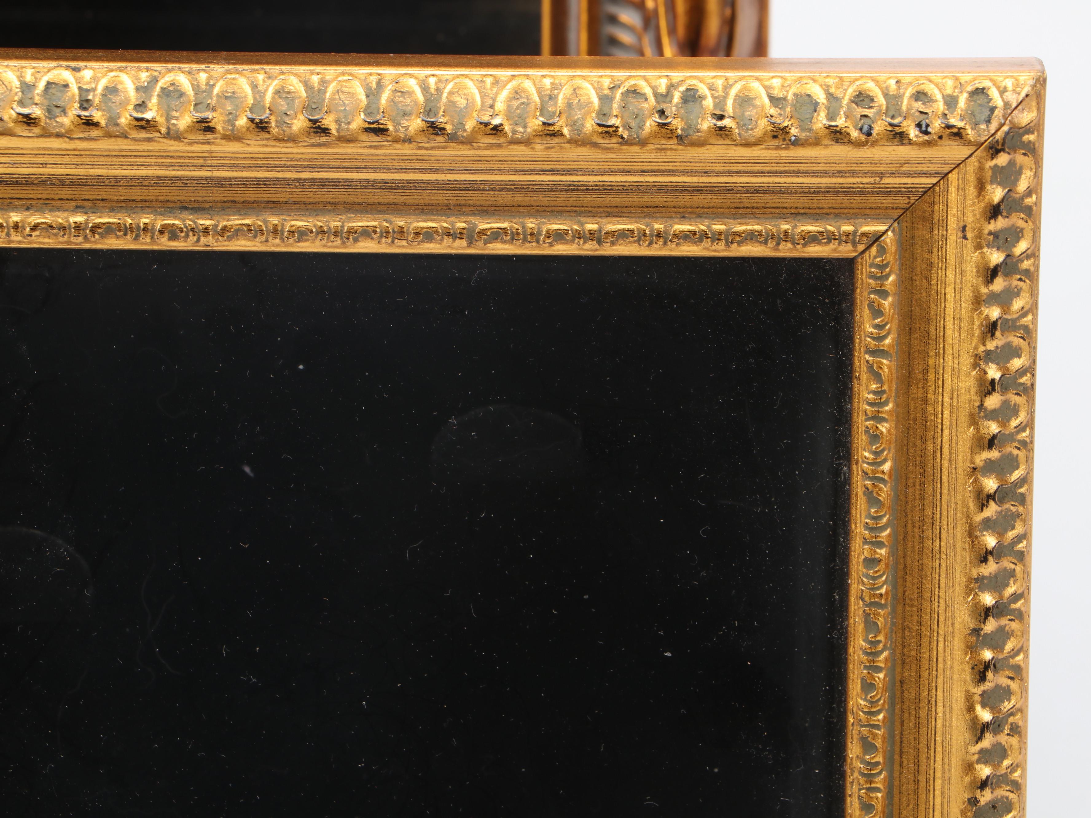 Victorian Style Gilt Resin Shadow Box Frames