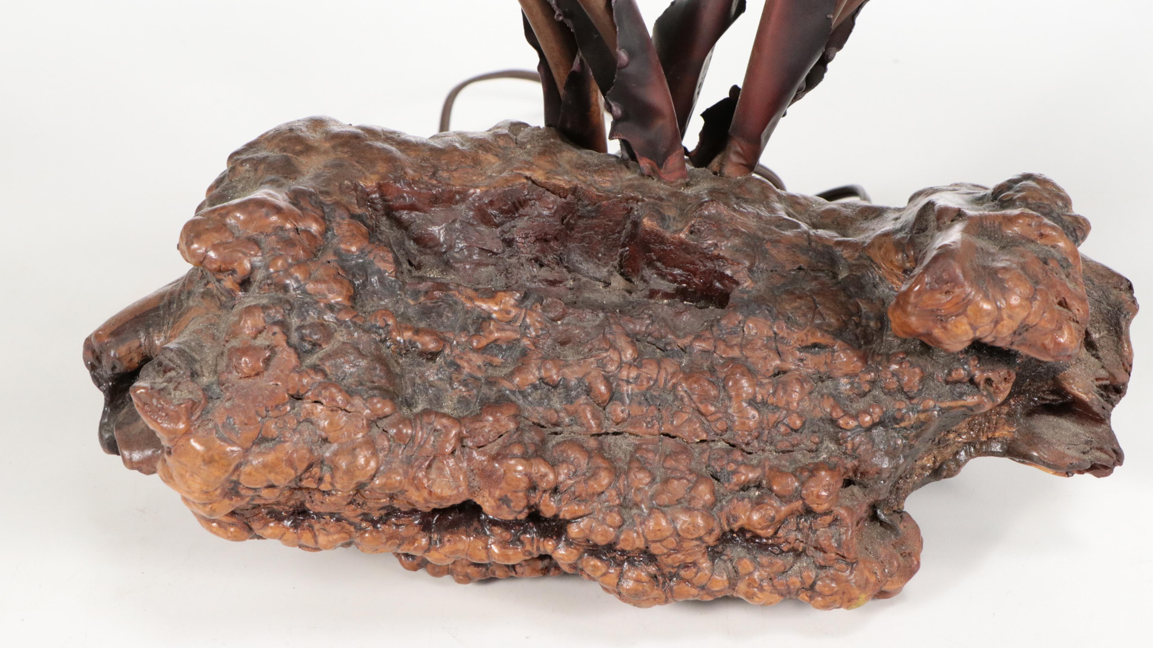 Bronzed Metal and Composite Lily Leaf & Burl Base with Sea Urchins and Tun Shell