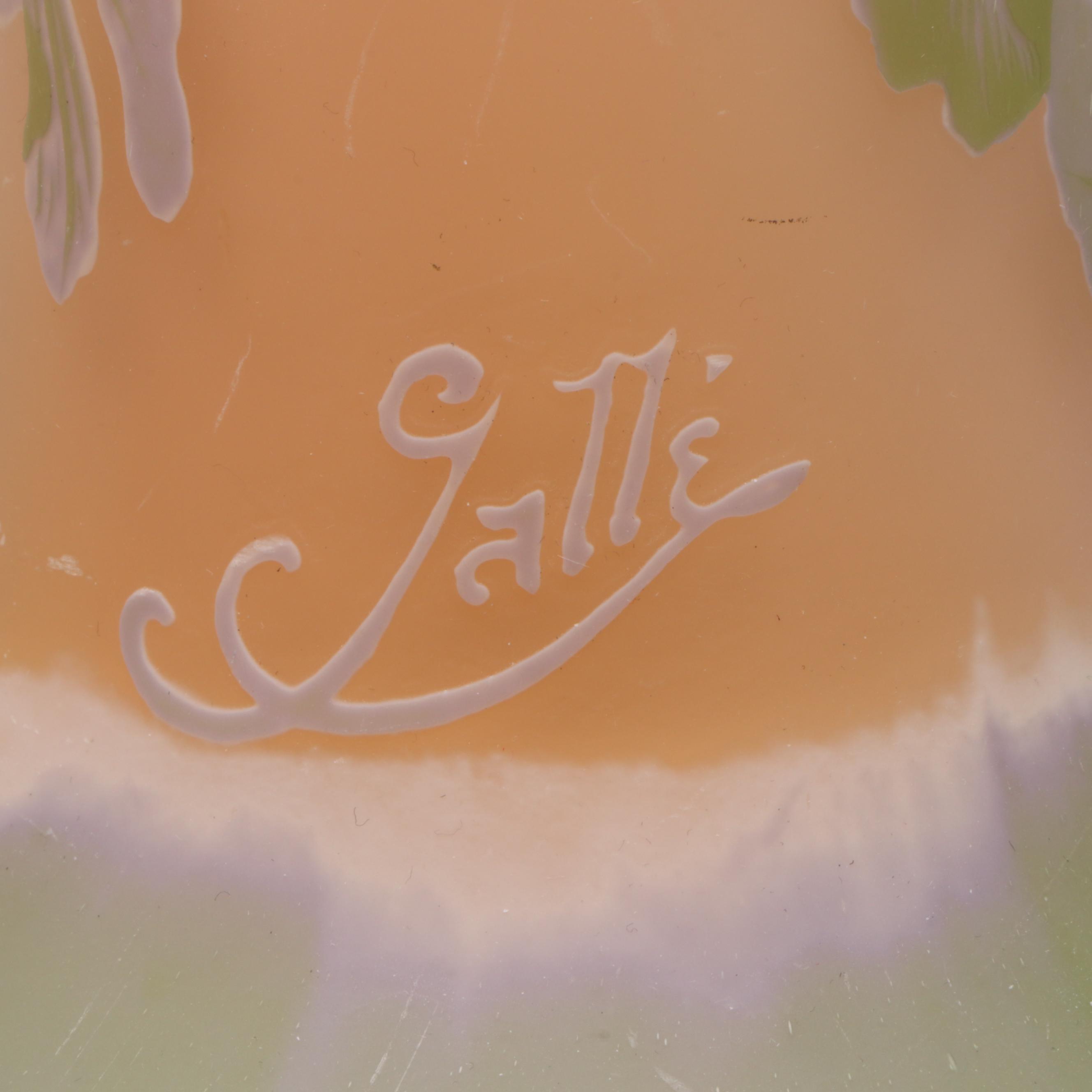 Émile Gallé Hydrangea Cameo Glass Vase, Early 20th Century