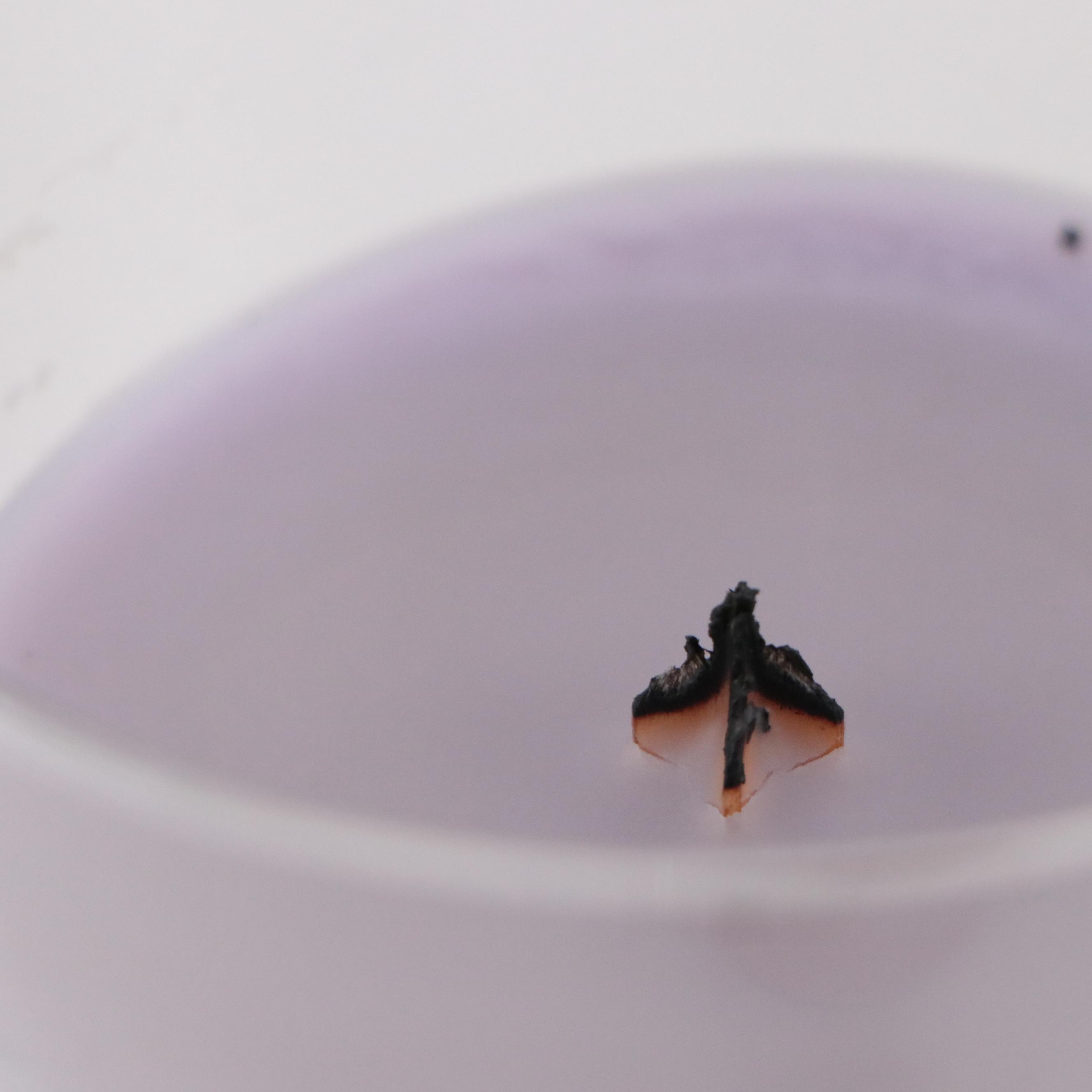 Yankee Candle "Autumn Leaves" Jarred Candle with More Candles