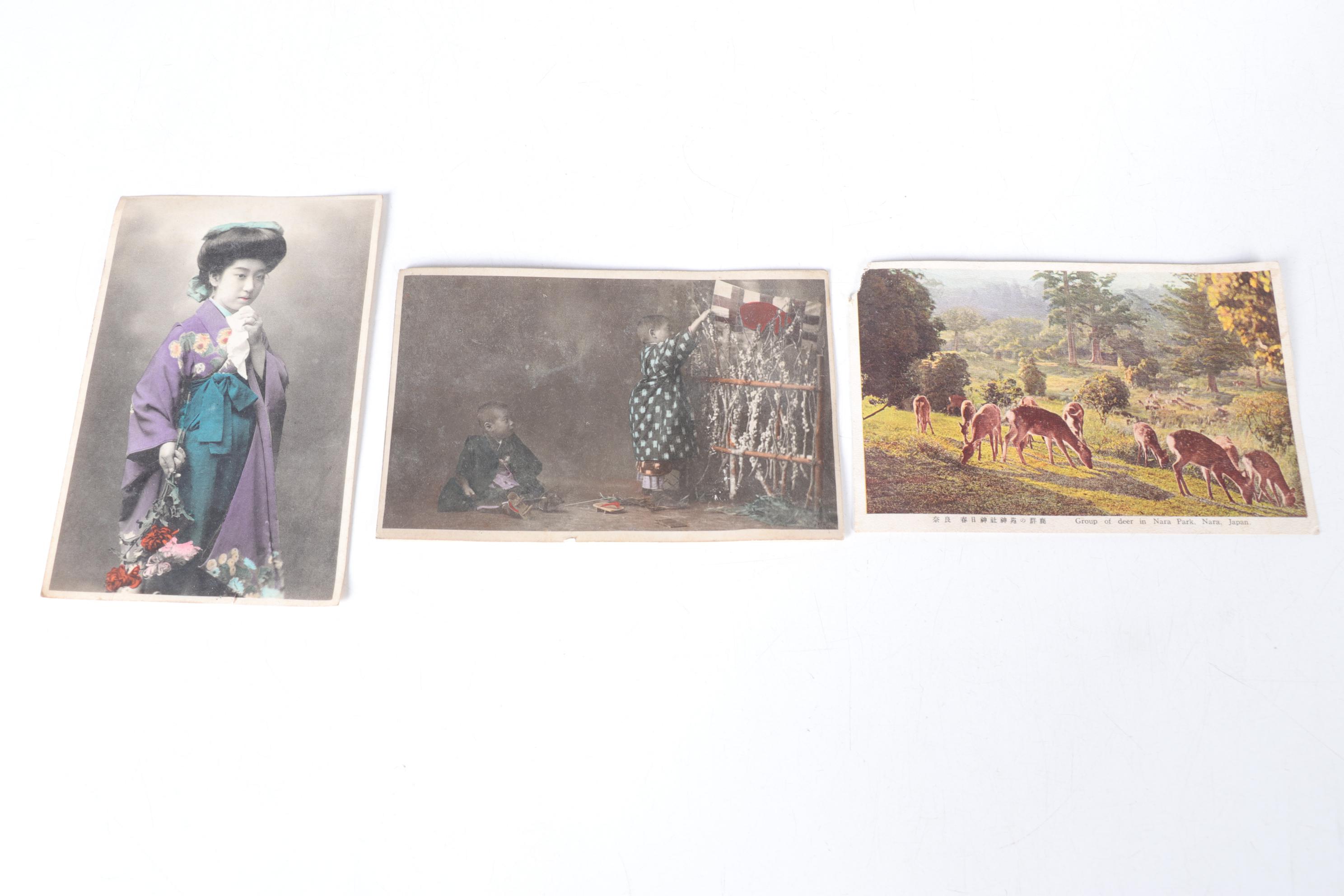 Japanese Postcards of Mt. Fuji, Nara Park & More, Early 20th Century