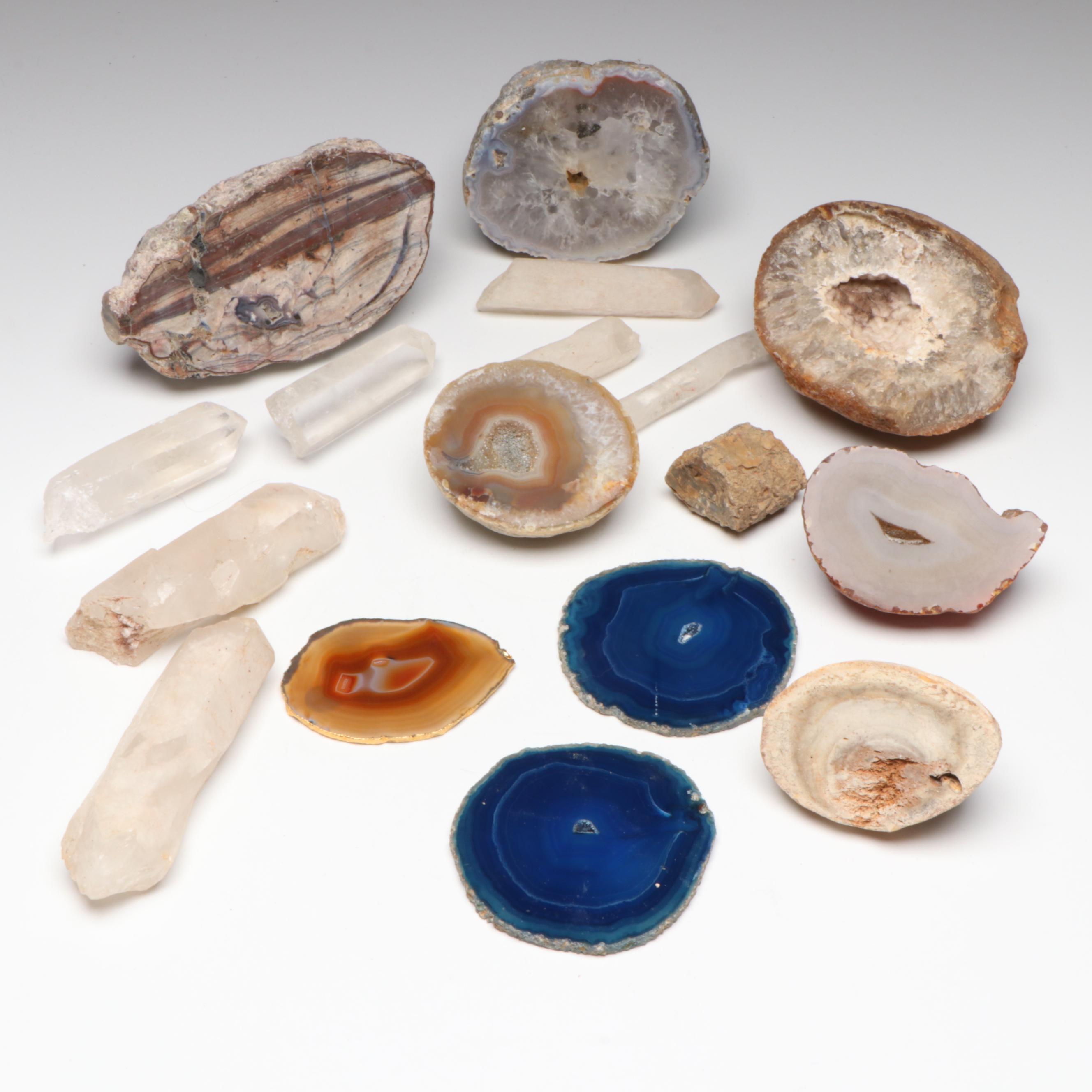 Polished Agate Slices, Geodes, Petrified Wood and Other Mineral Specimens