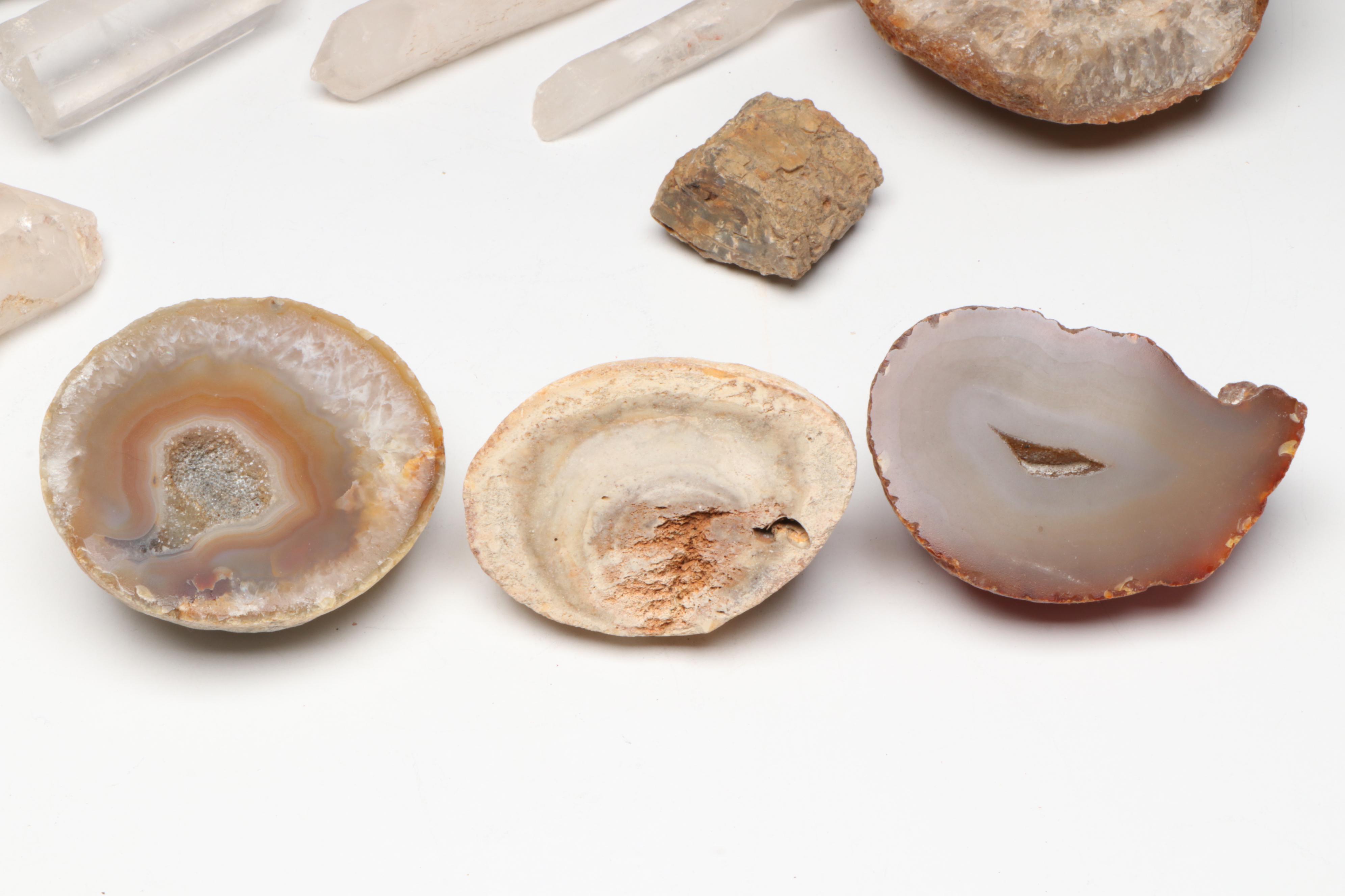 Polished Agate Slices, Geodes, Petrified Wood and Other Mineral Specimens