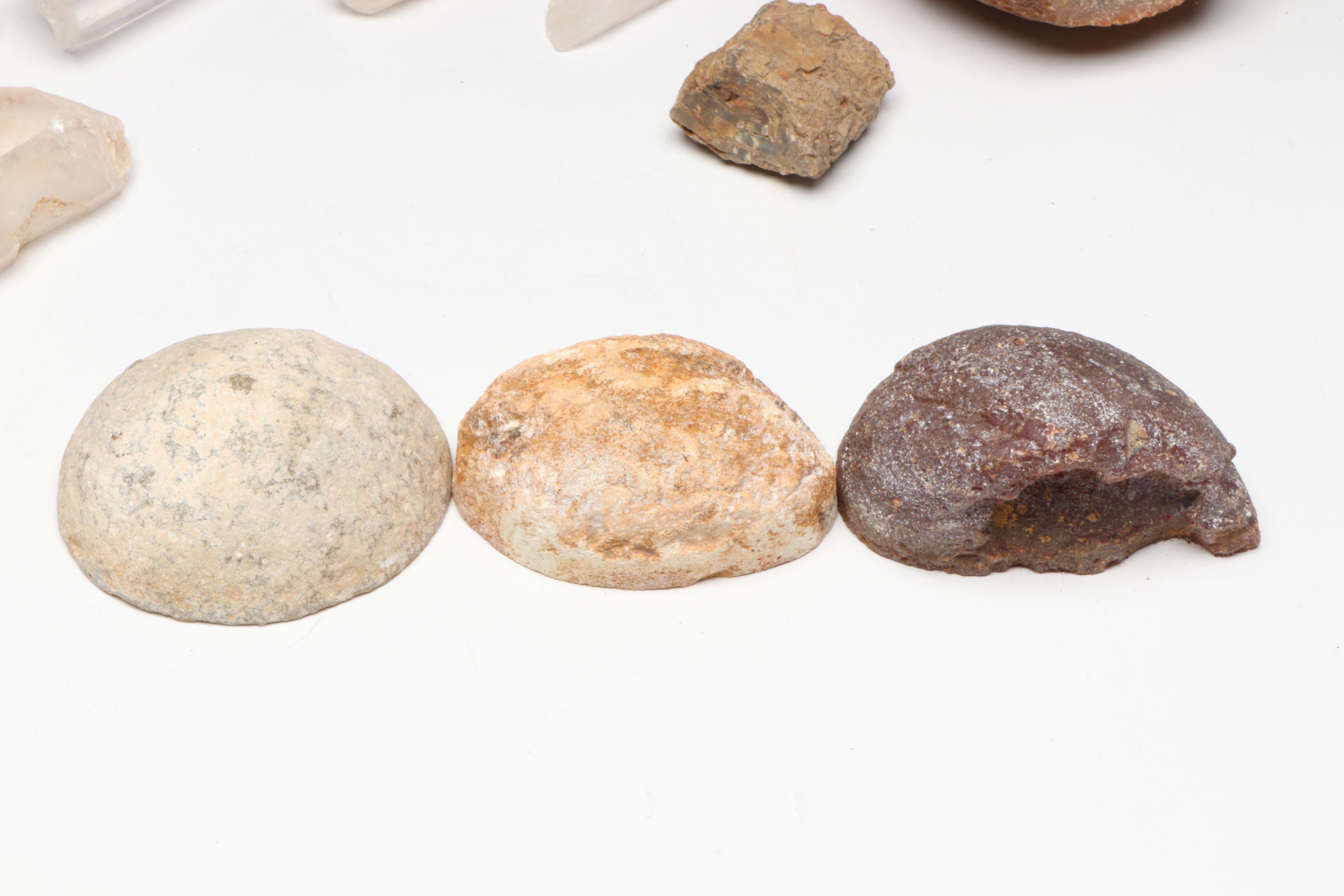 Polished Agate Slices, Geodes, Petrified Wood and Other Mineral Specimens