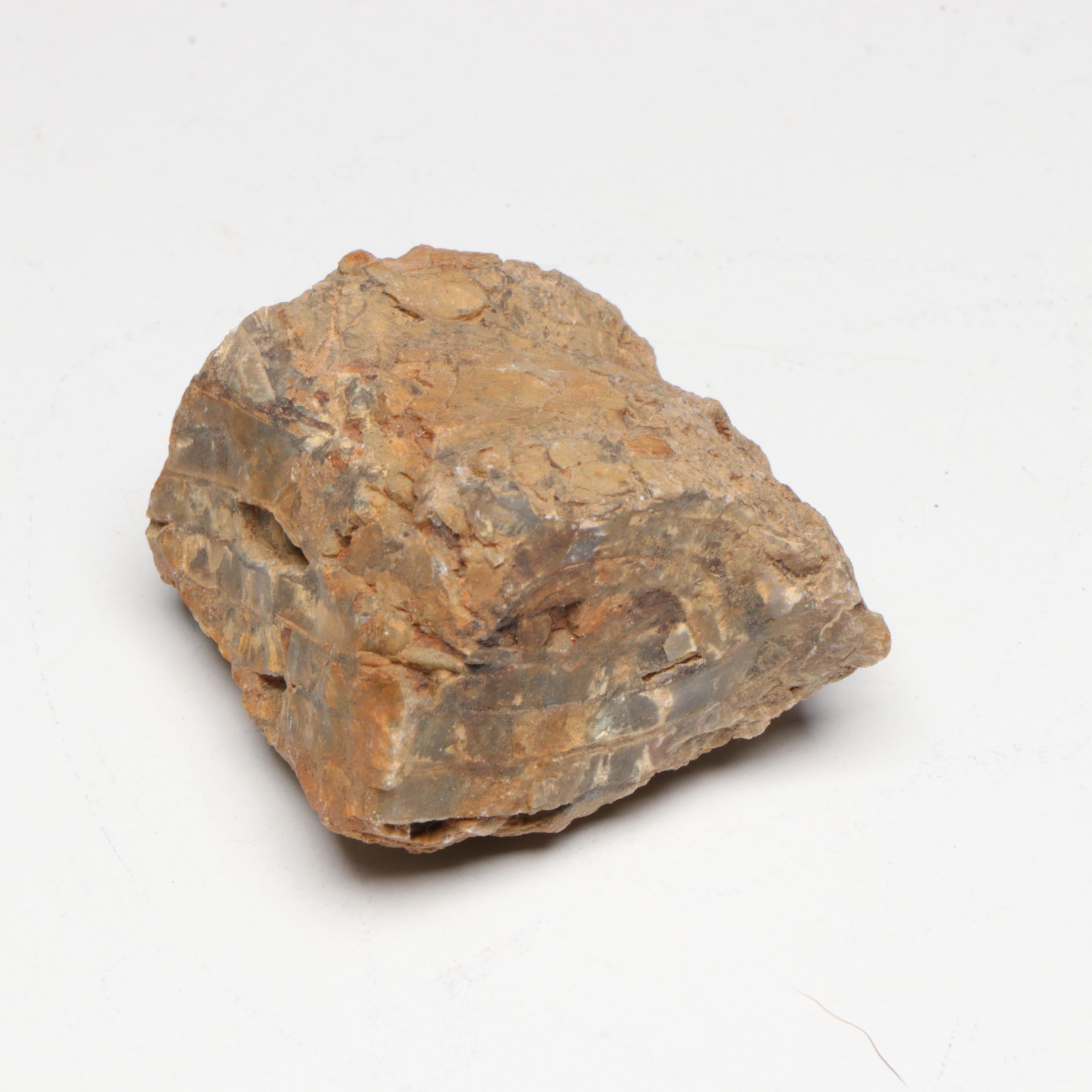 Polished Agate Slices, Geodes, Petrified Wood and Other Mineral Specimens