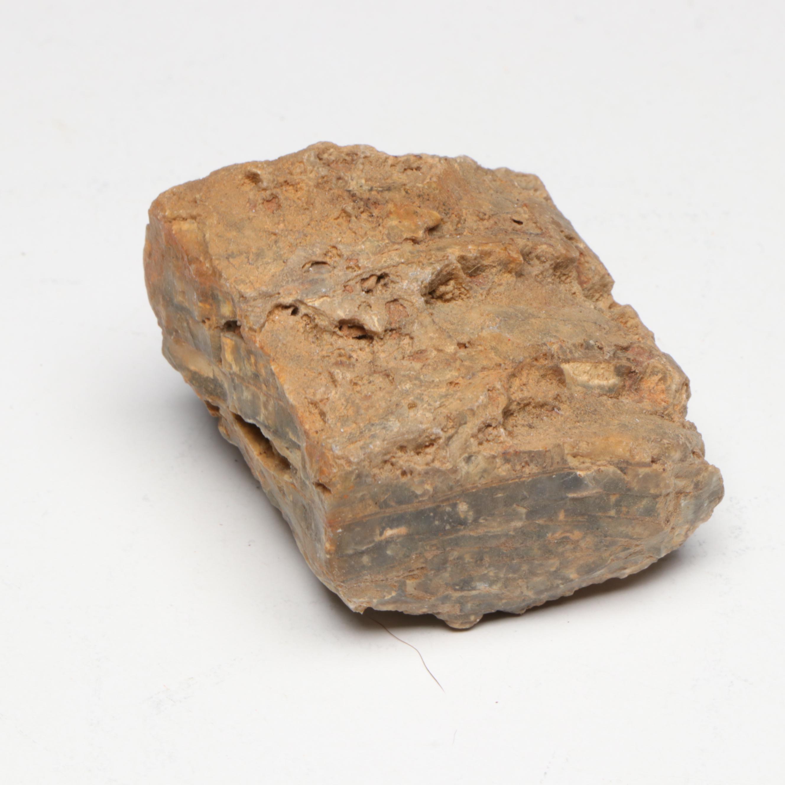 Polished Agate Slices, Geodes, Petrified Wood and Other Mineral Specimens