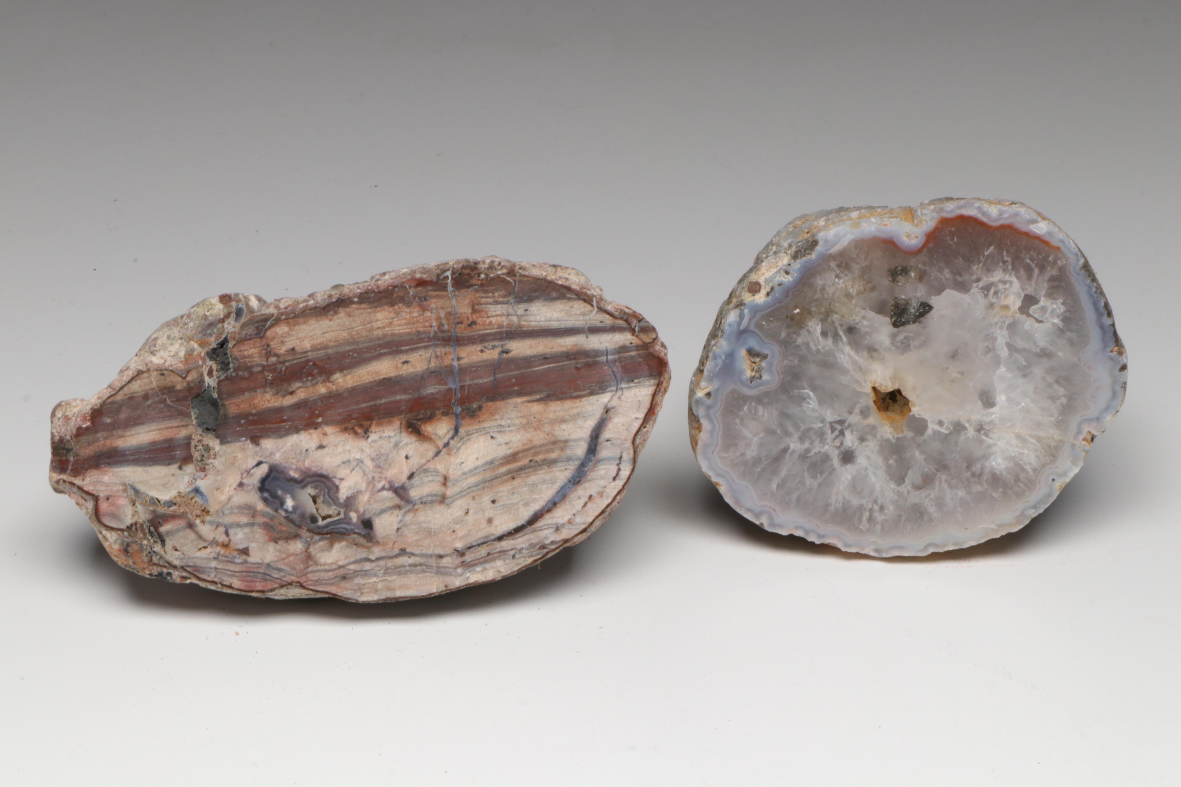 Polished Agate Slices, Geodes, Petrified Wood and Other Mineral Specimens