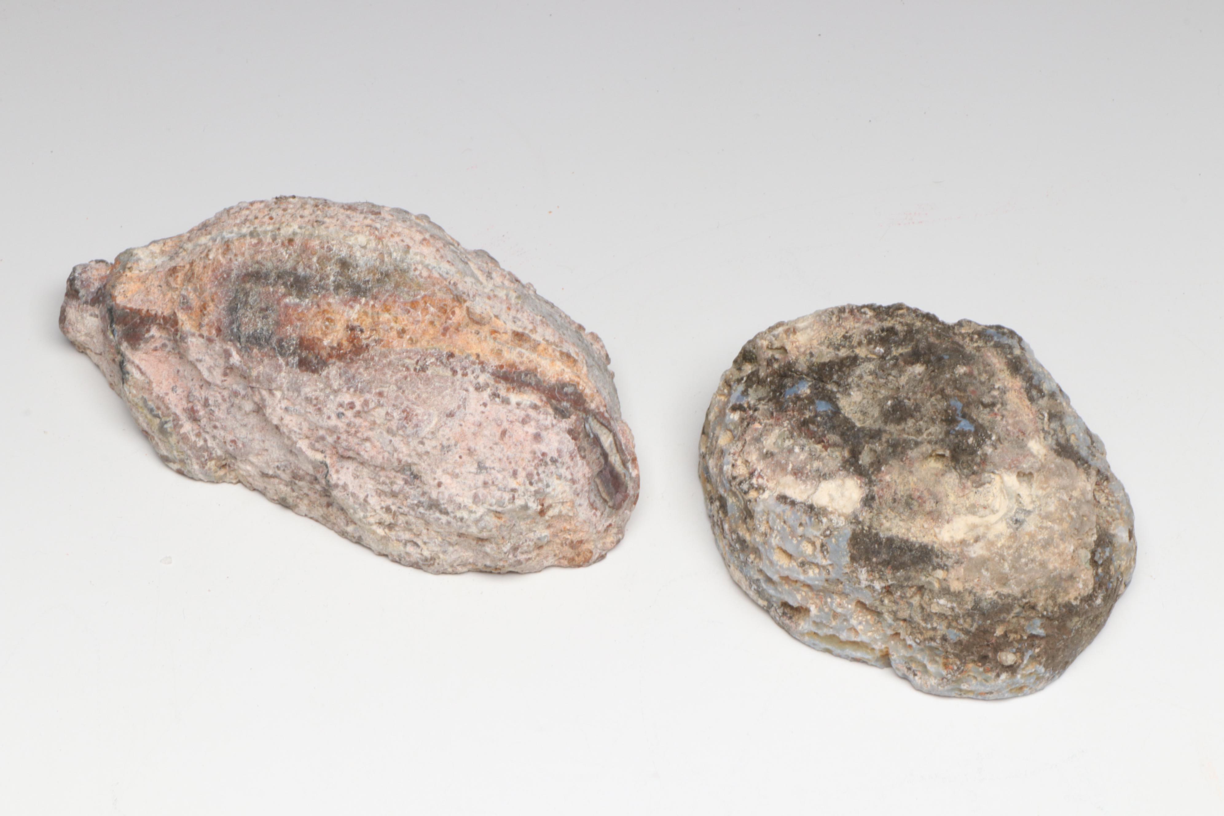 Polished Agate Slices, Geodes, Petrified Wood and Other Mineral Specimens