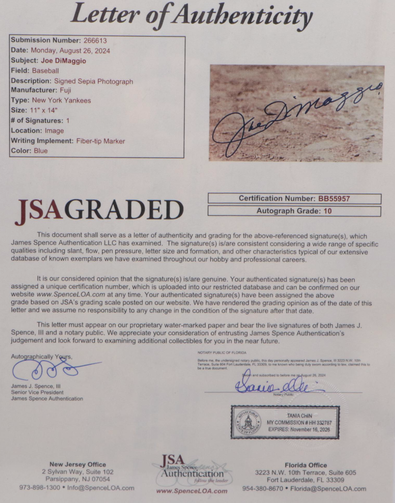 Joe DiMaggio Signed and Graded San Francisco Seals Baseball Print with More