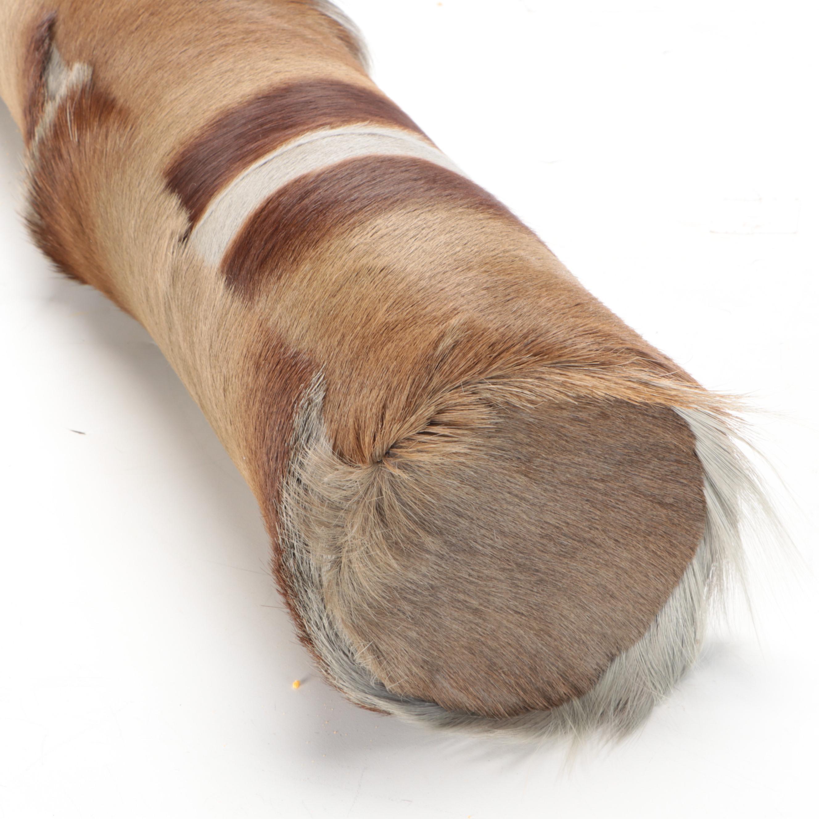 Pair of Springbok Hide Extra Long Bolster Pillows