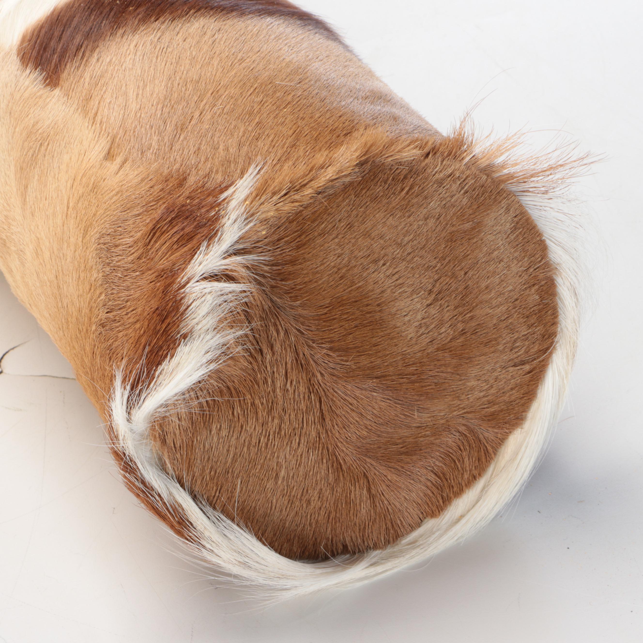 Pair of Springbok Hide Extra Long Bolster Pillows