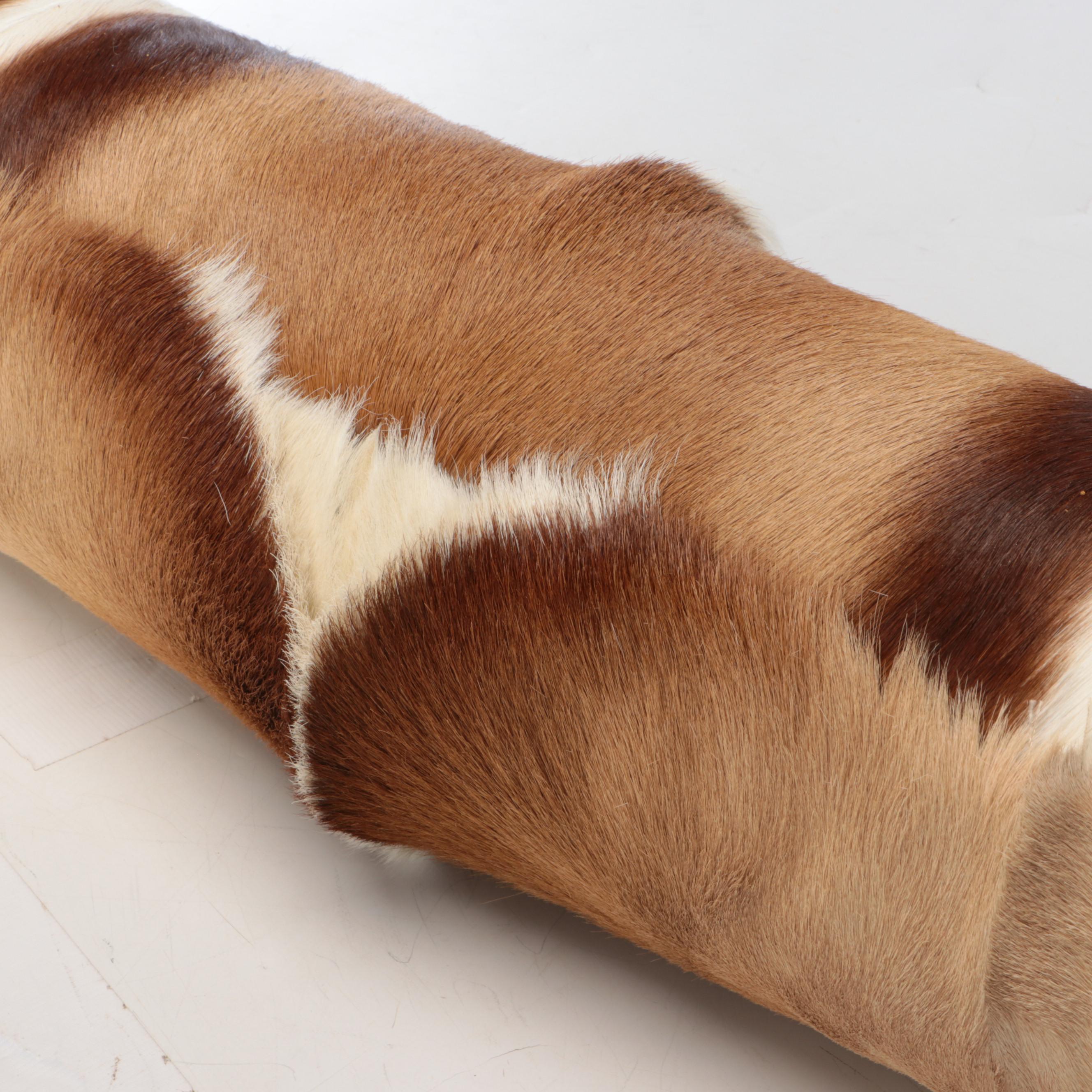 Pair of Springbok Hide Extra Long Bolster Pillows