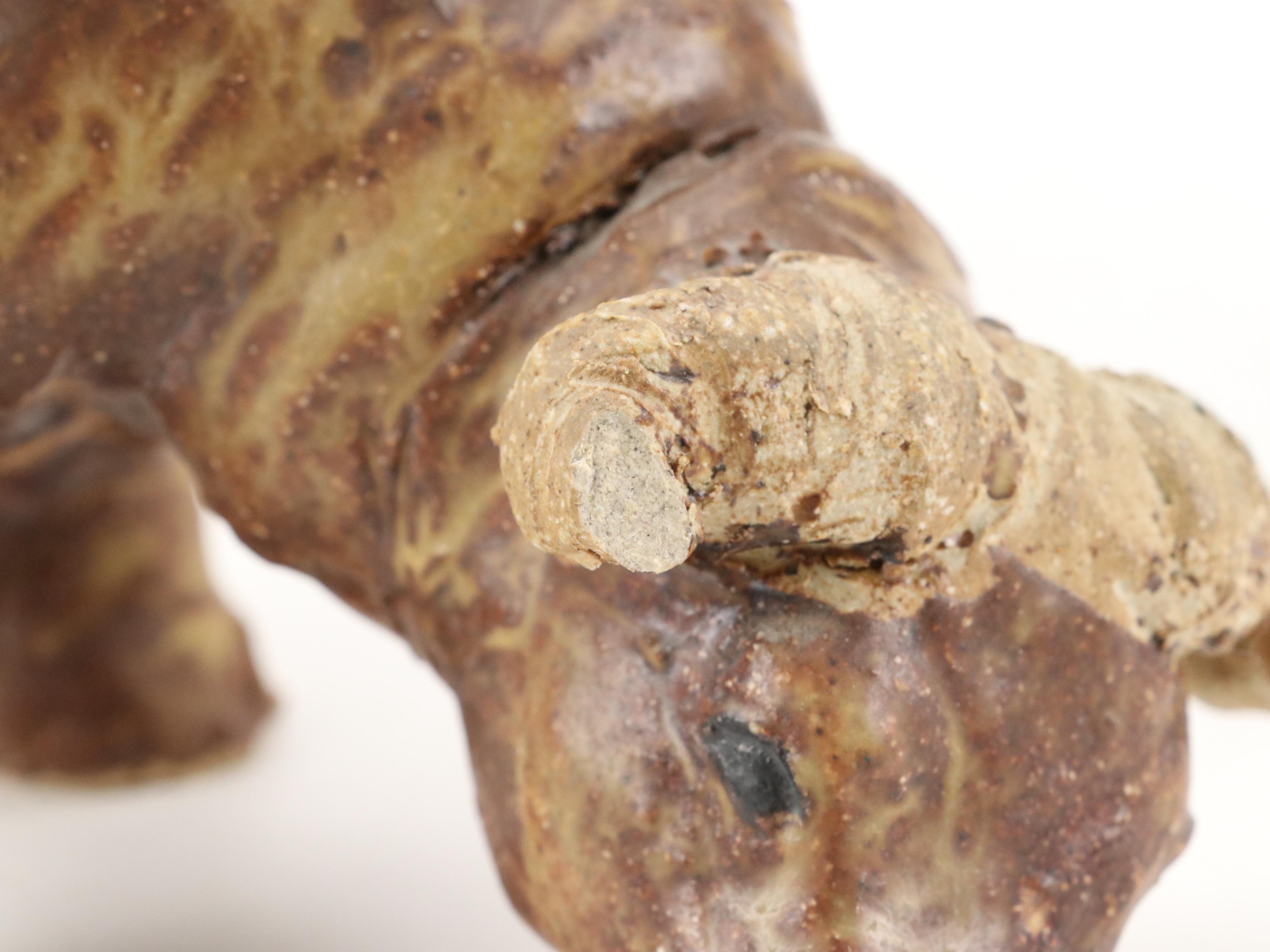 Carved and Painted Wooden Boxes with Steer and Boston Terrier Figurines