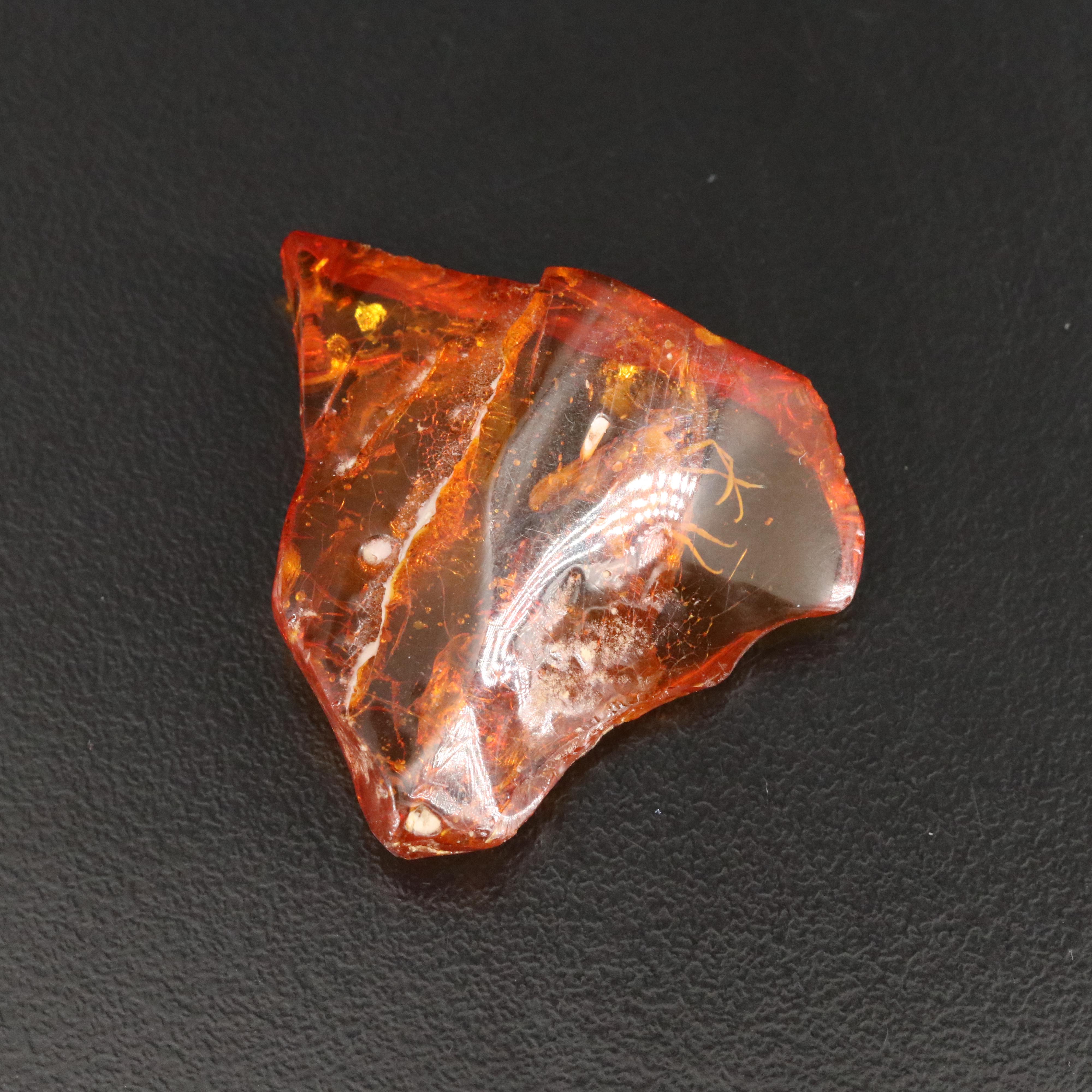 Amber with Insect Embedded