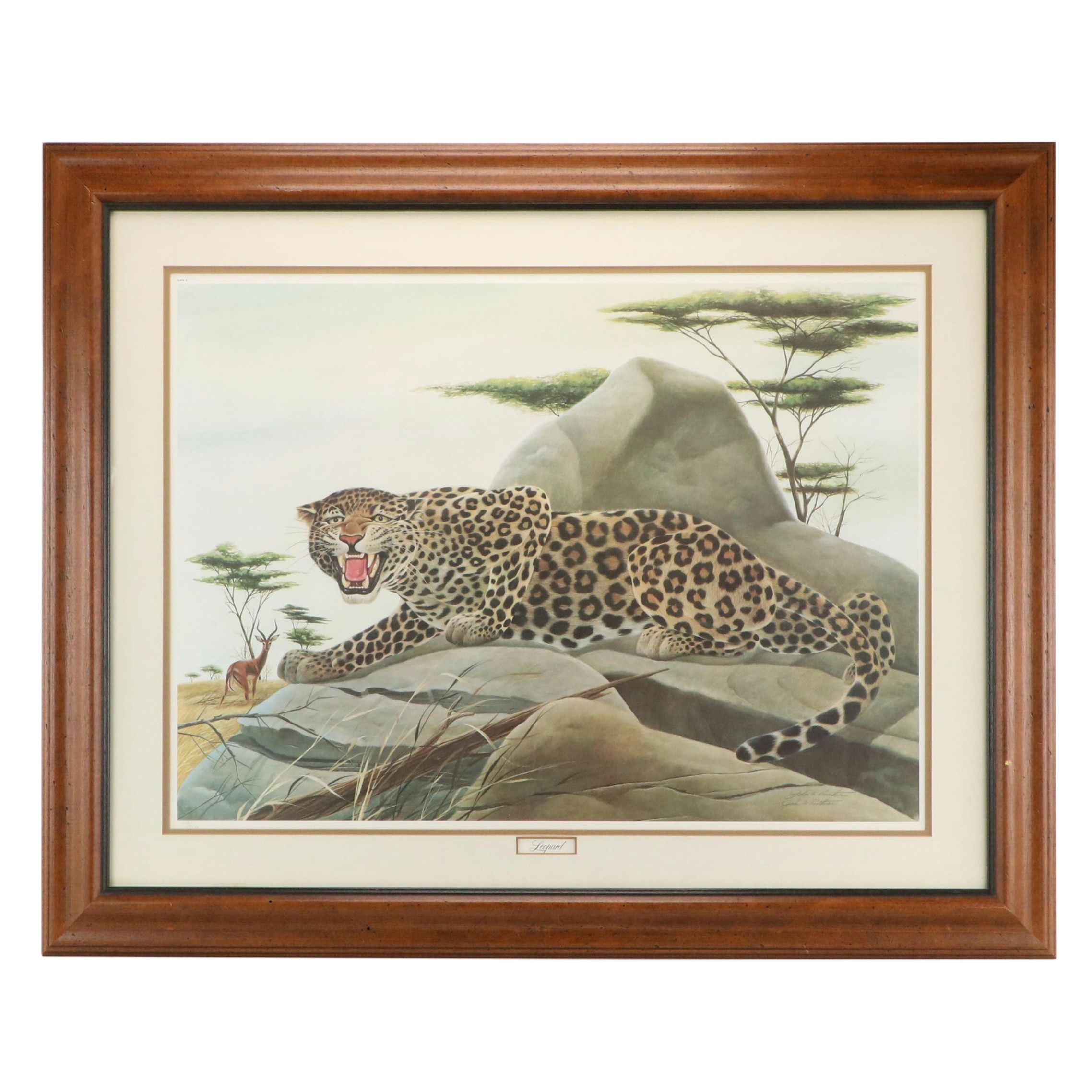 John A. Ruthven Offset Lithograph "Leopard"