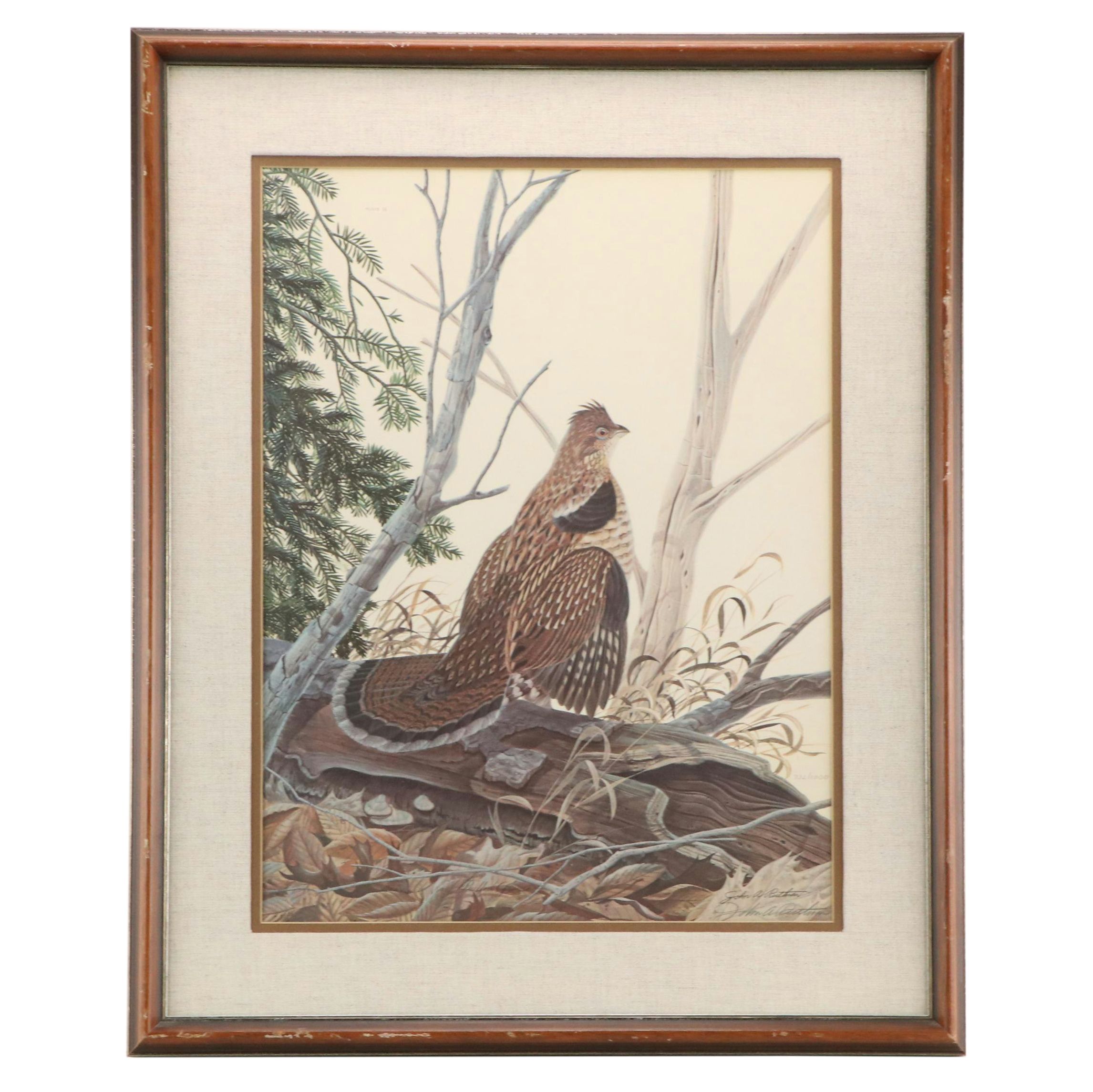 John A. Ruthven Offset Lithograph "Ruffed Grouse," 1975