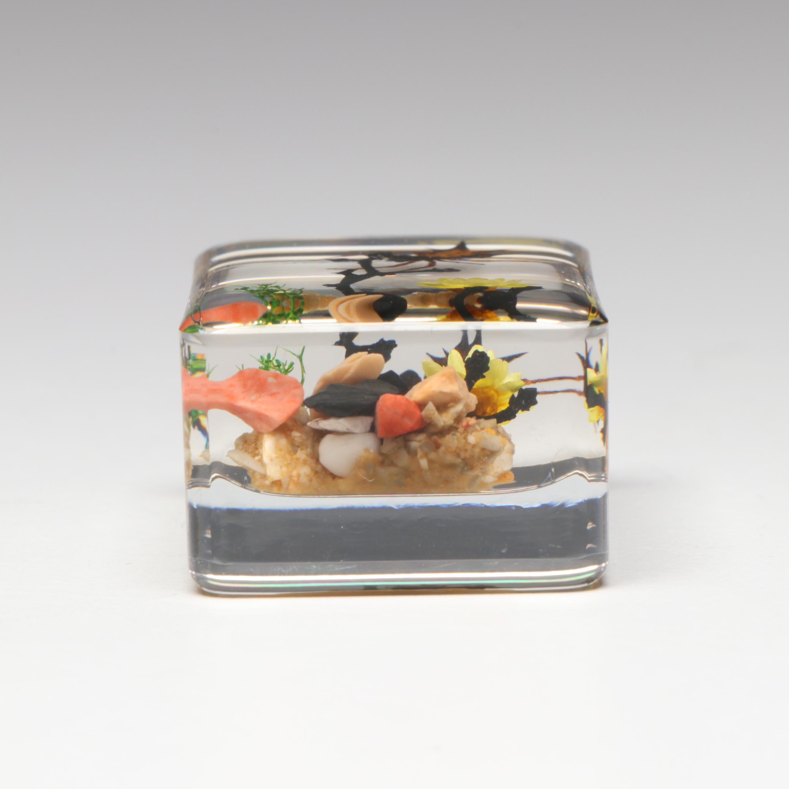 Taxidermy Acrylic Mount Orb-Weaver Spider and Spiny-Backed Spider Paperweights