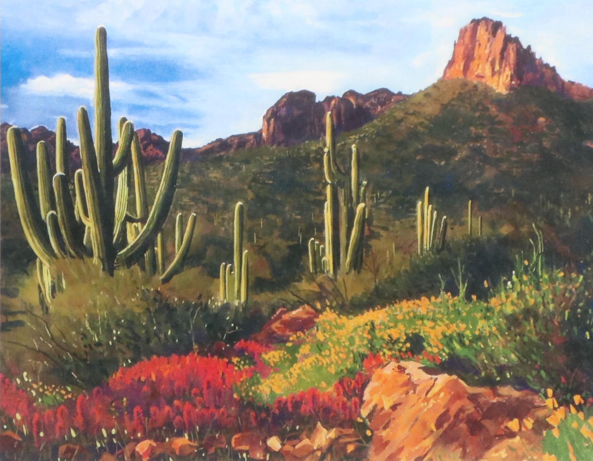 Michael Stoyanov Offset Lithograph "Arizona Spring"