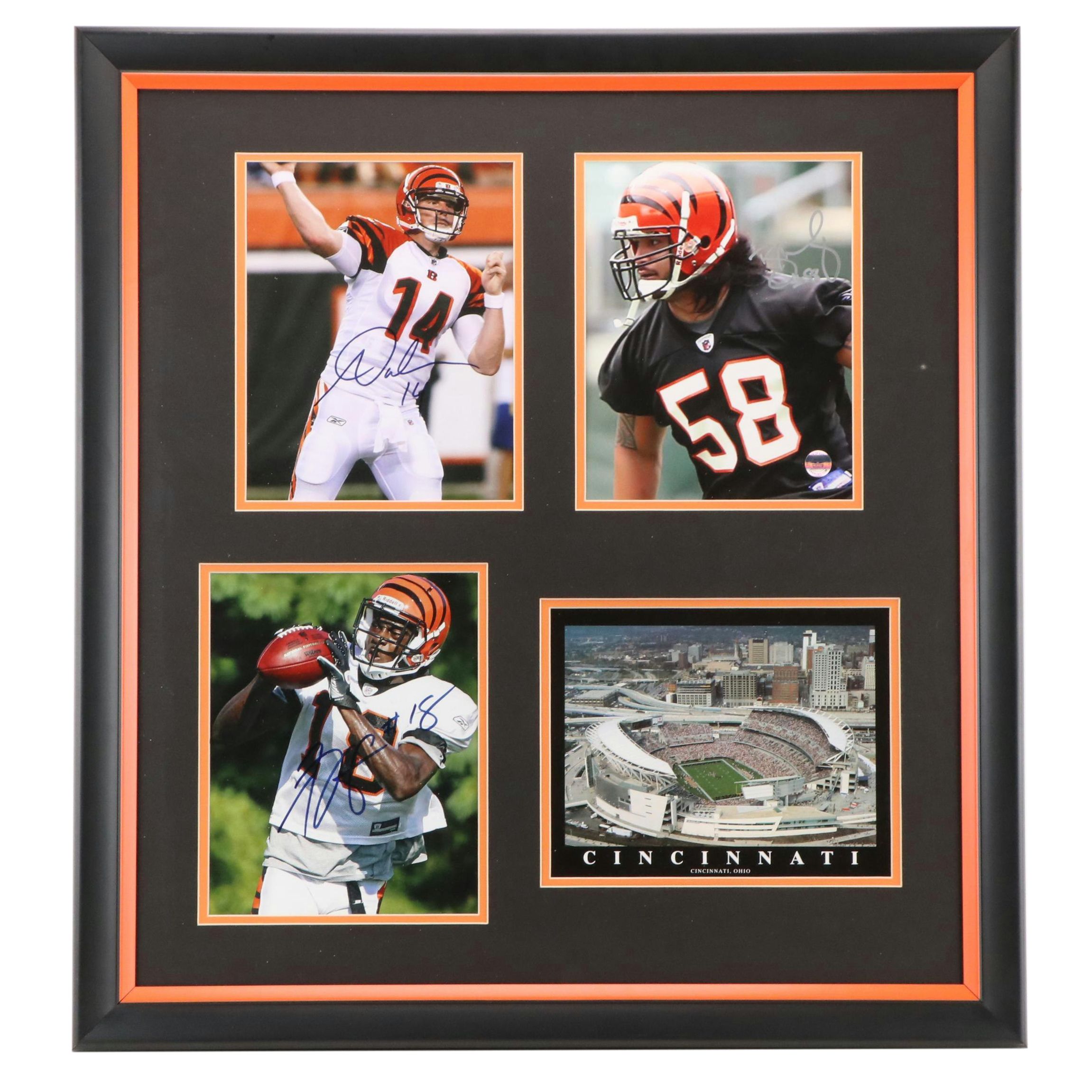 Andy Dalton, A. J. Green, and Rey Maualuga Signed Cincinnati Bengals Display