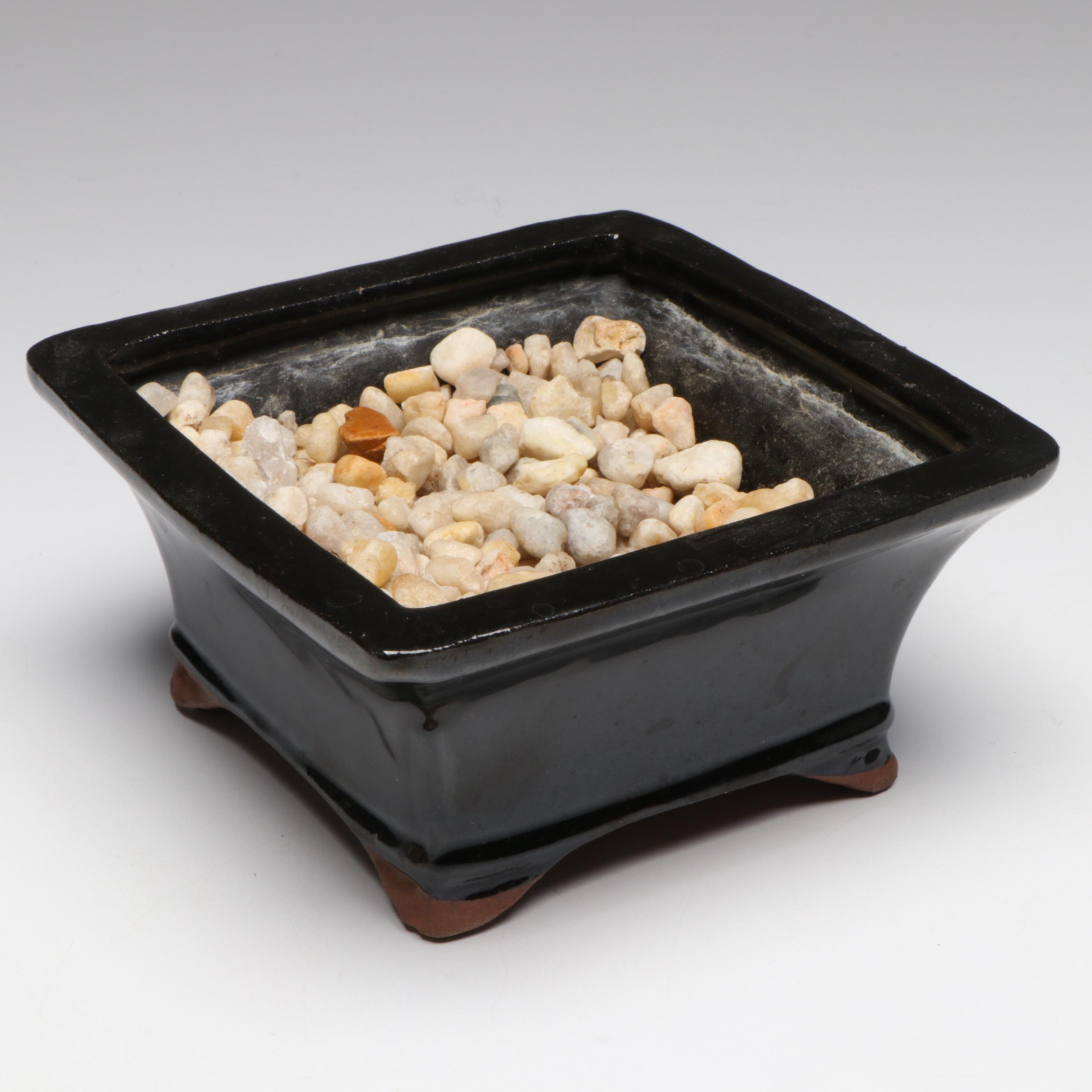 Sancai Frog & Flower Vase with Other Frog Figurines and Bonsai Planter