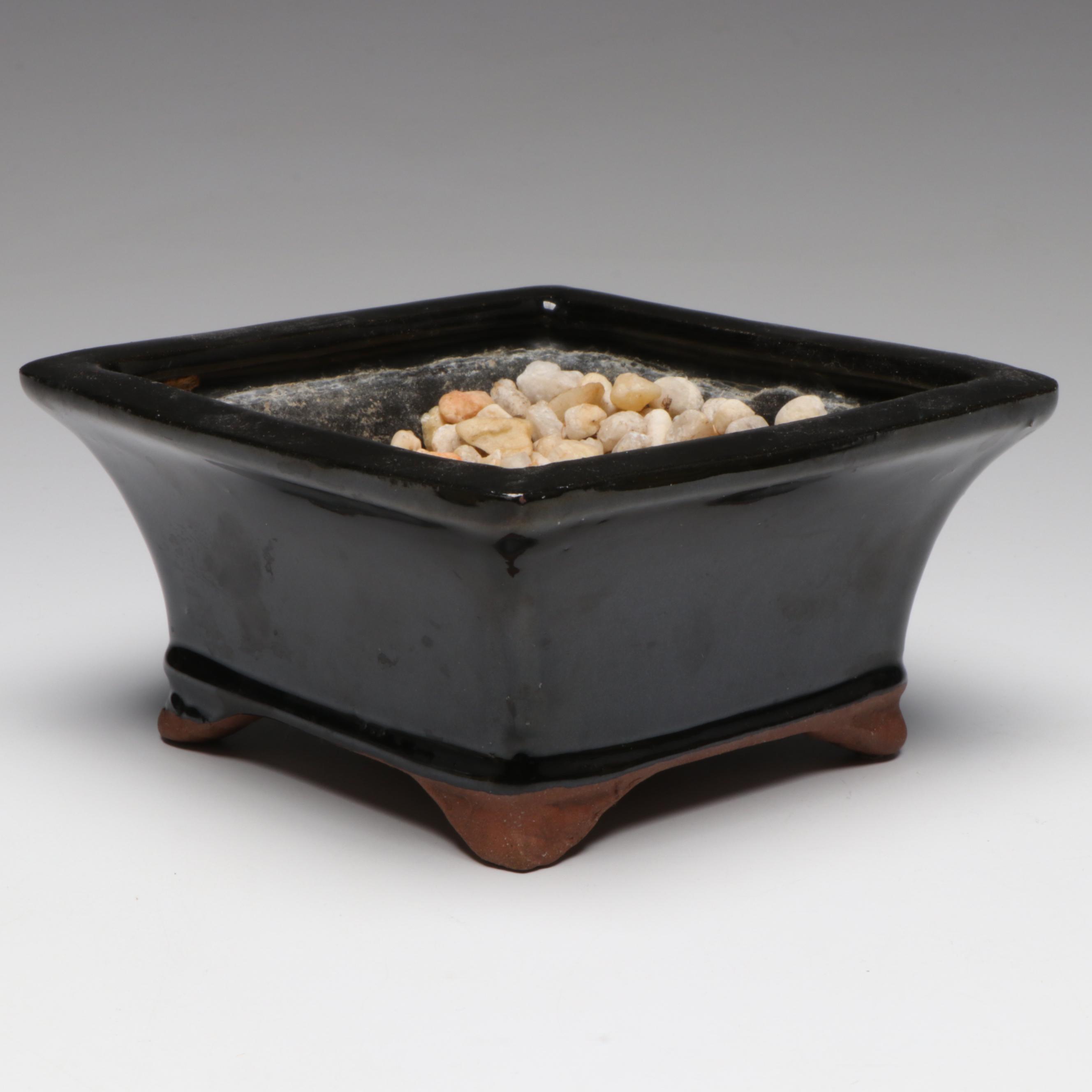 Sancai Frog & Flower Vase with Other Frog Figurines and Bonsai Planter