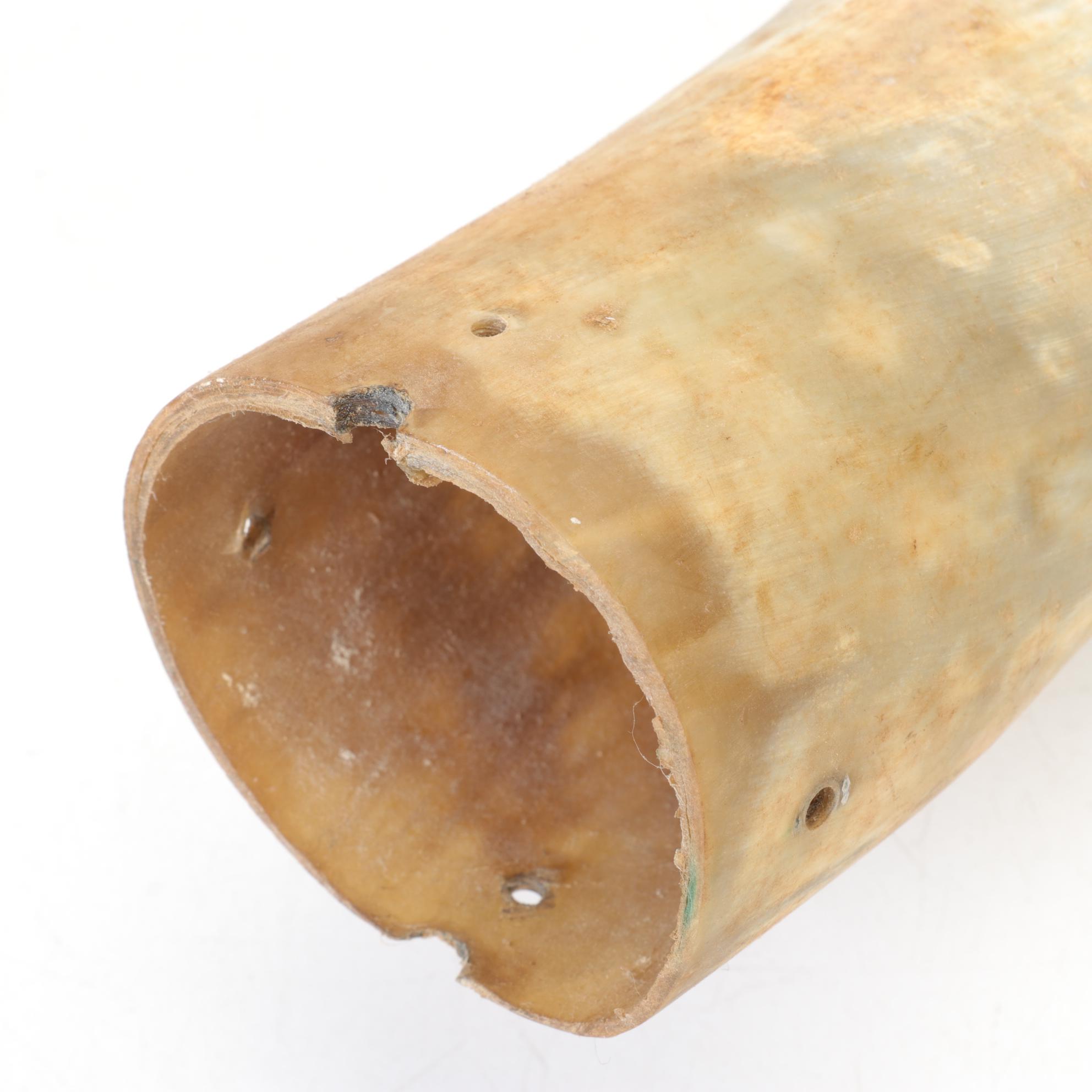 Longhorn Steer Horns