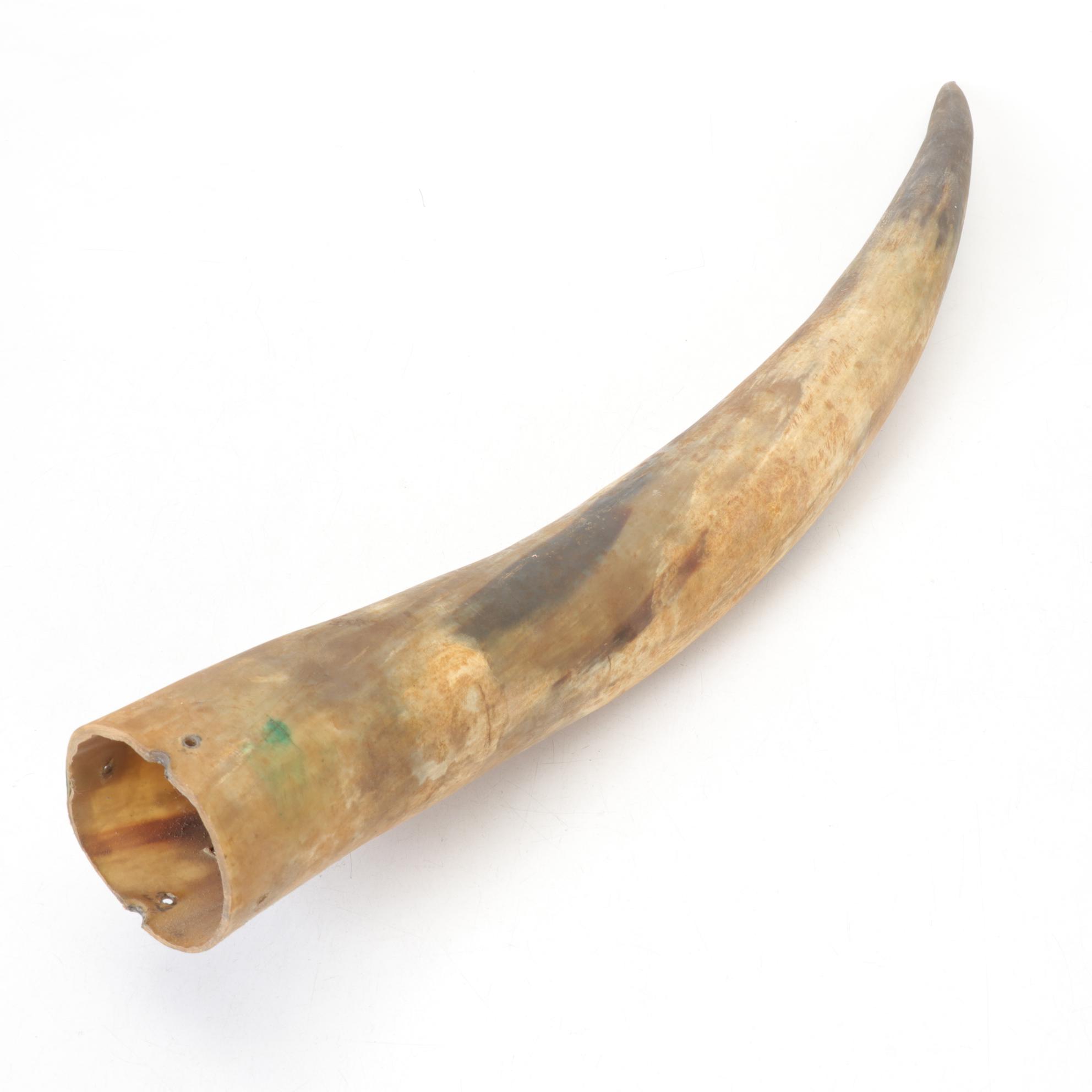 Longhorn Steer Horns