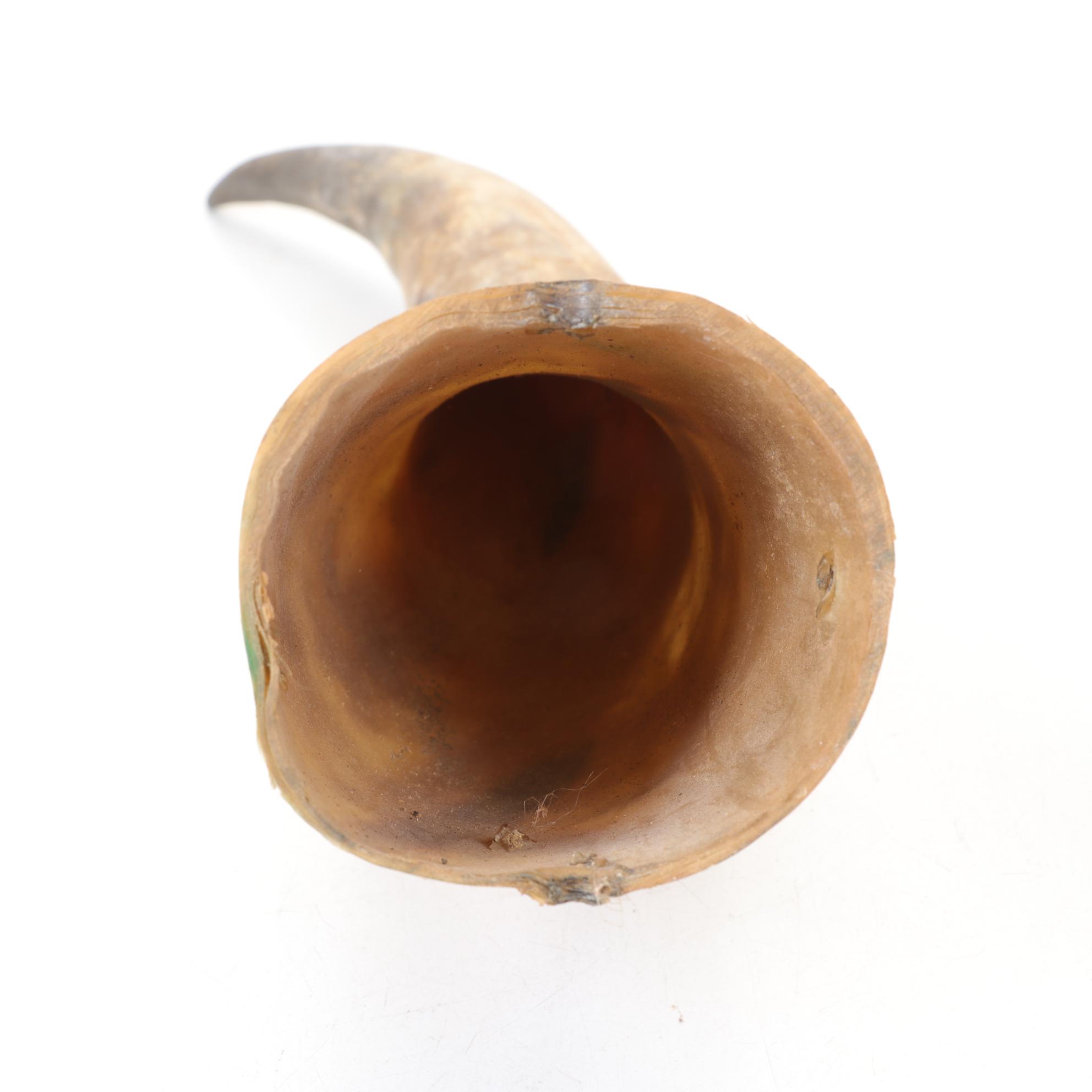 Longhorn Steer Horns