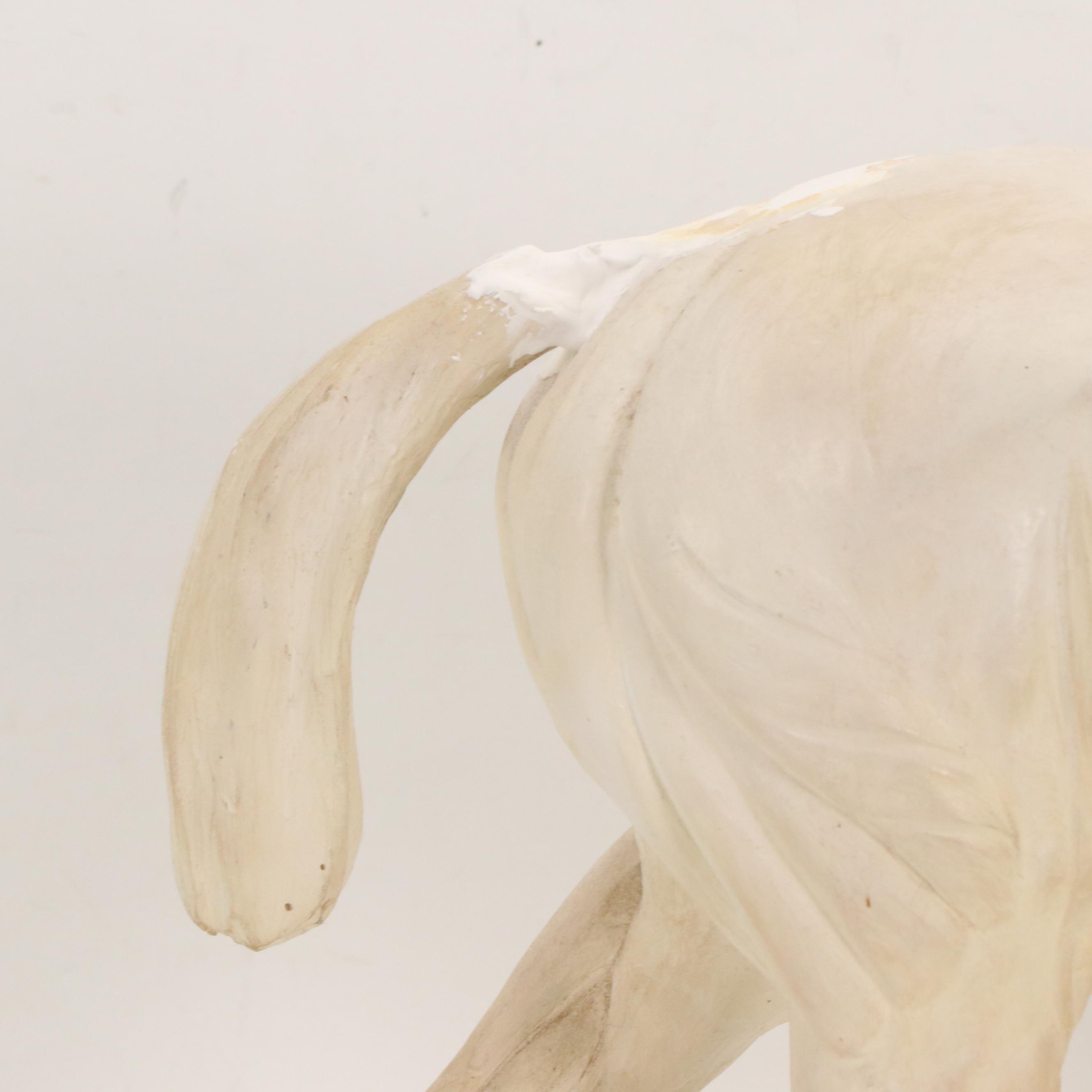 Plaster Horse Muscle Anatomy Model, 1944