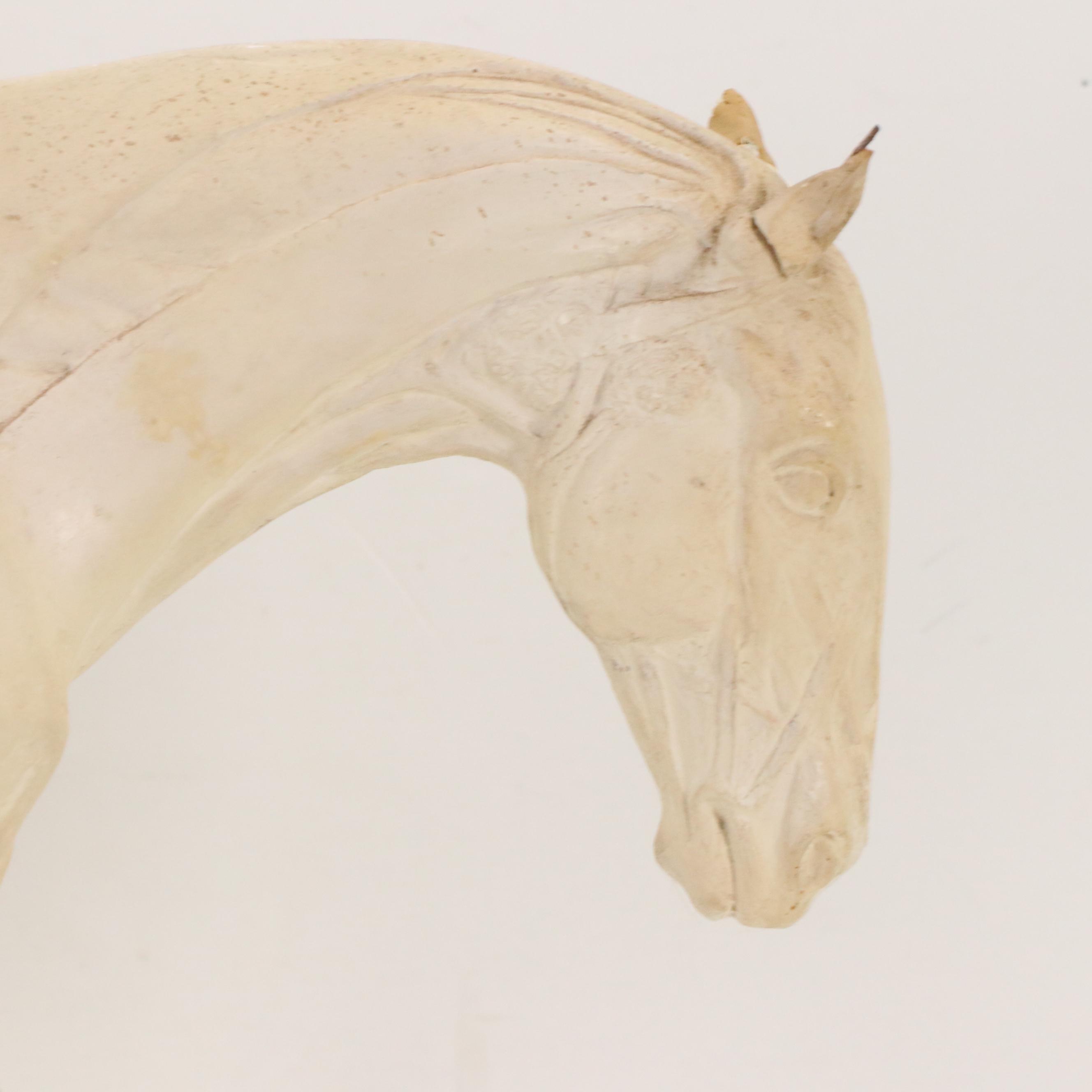 Plaster Horse Muscle Anatomy Model, 1944