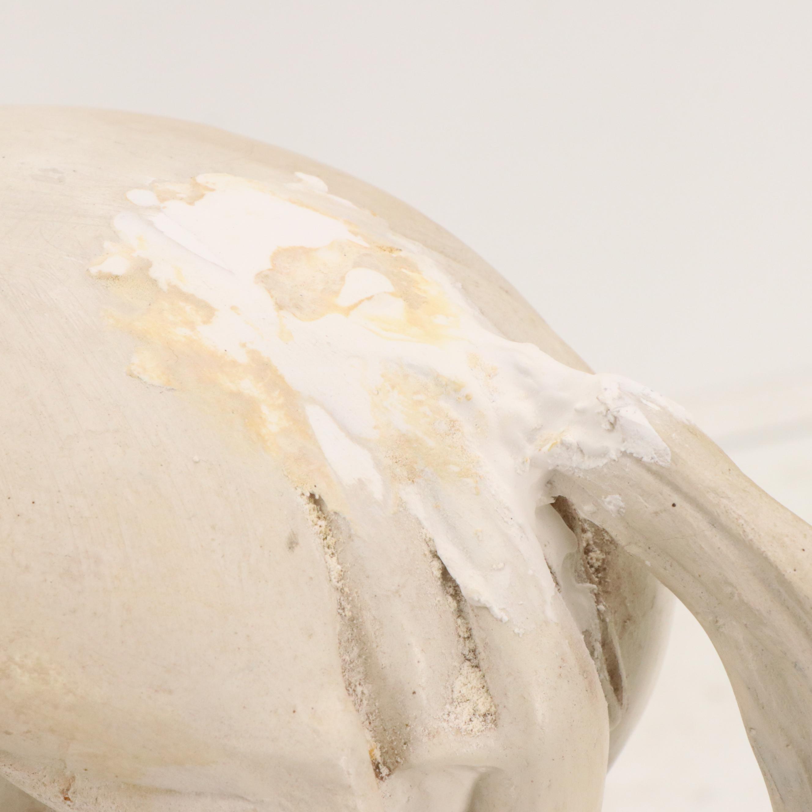 Plaster Horse Muscle Anatomy Model, 1944