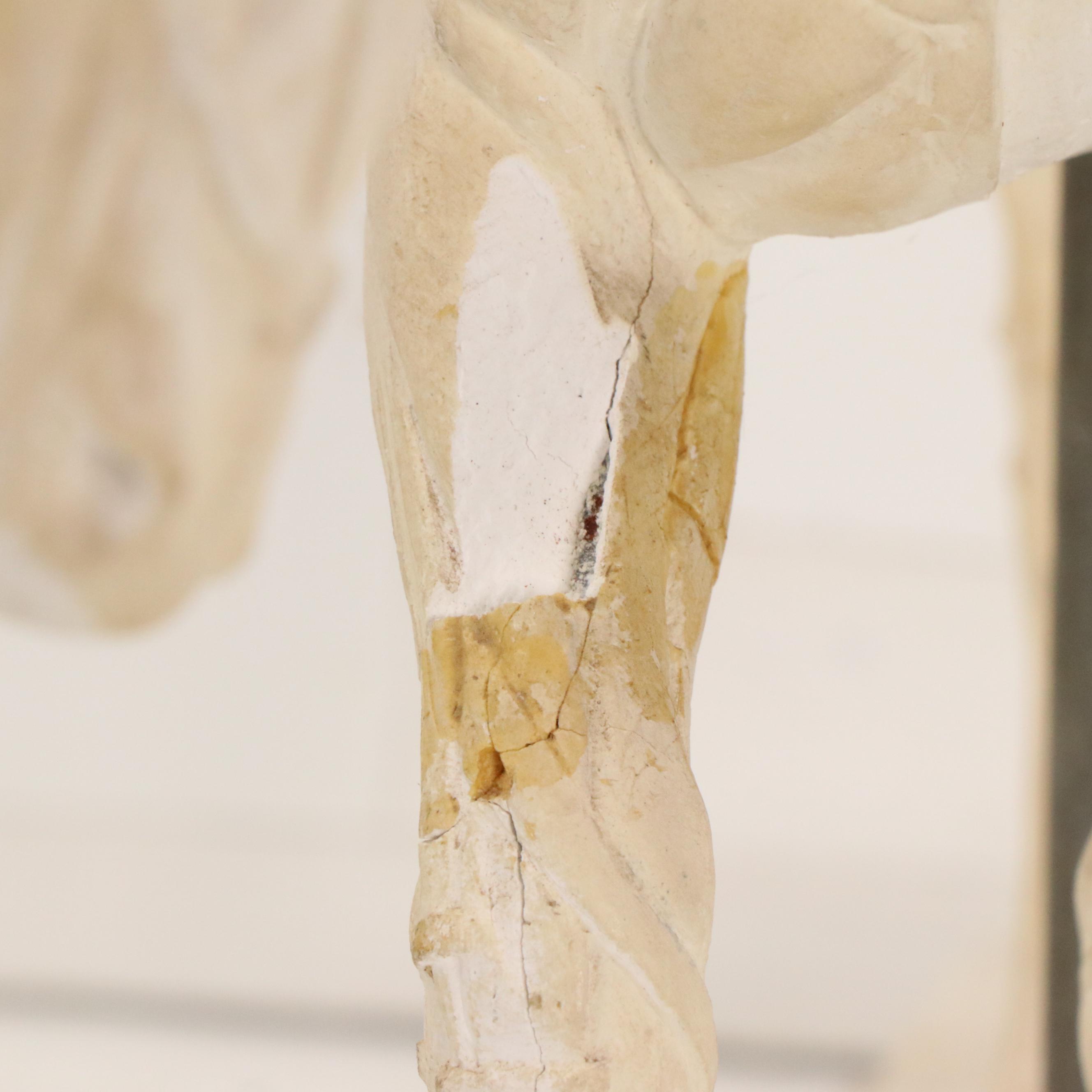 Plaster Horse Muscle Anatomy Model, 1944