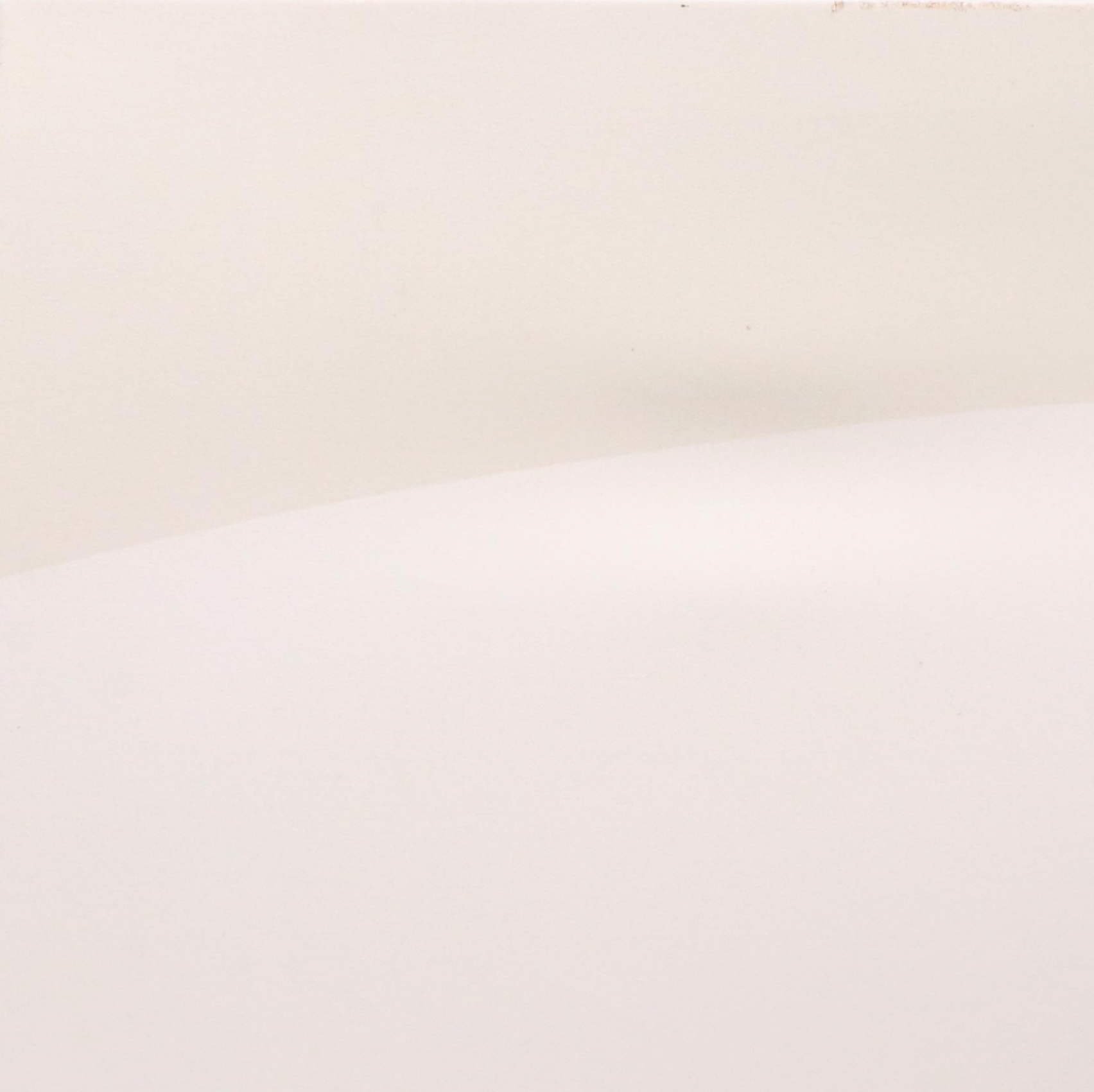 Giclée after Charley Harper "Cardinal Cuisine"