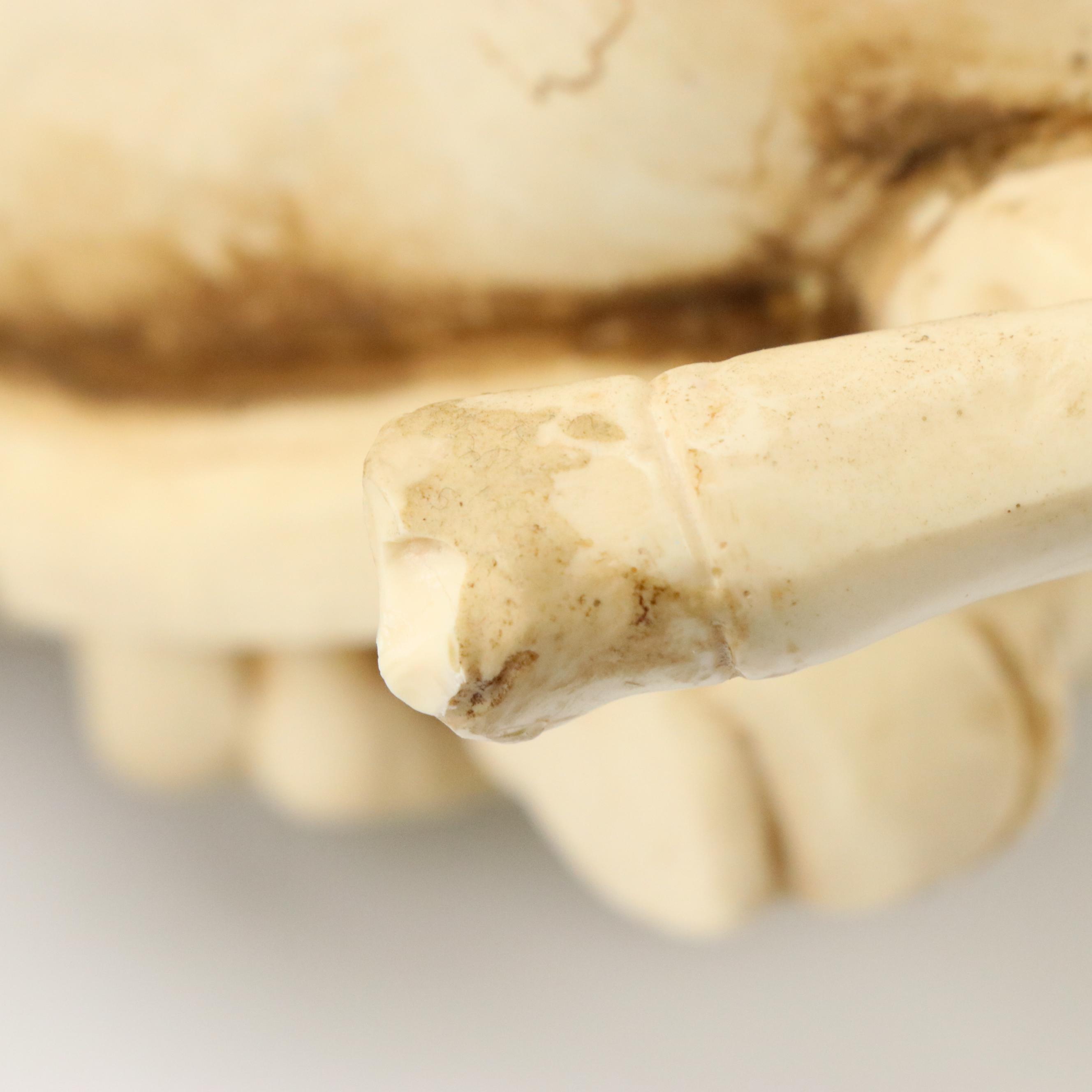 Chinese Style General Guan Yu Resin Figurine