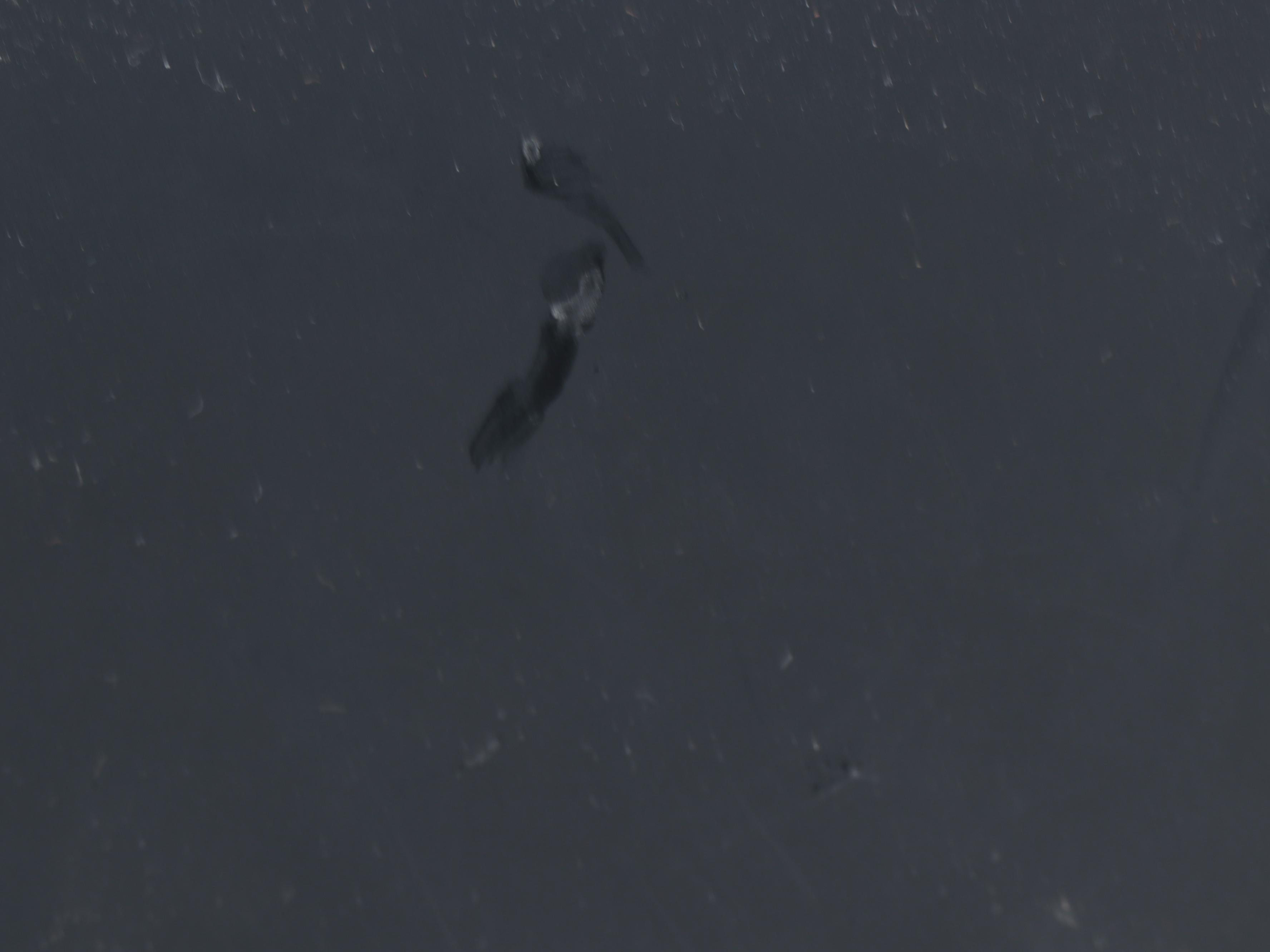 Bang & Olufsen BeoMaster 5 Digital Music Server with Mount, Accessories and More