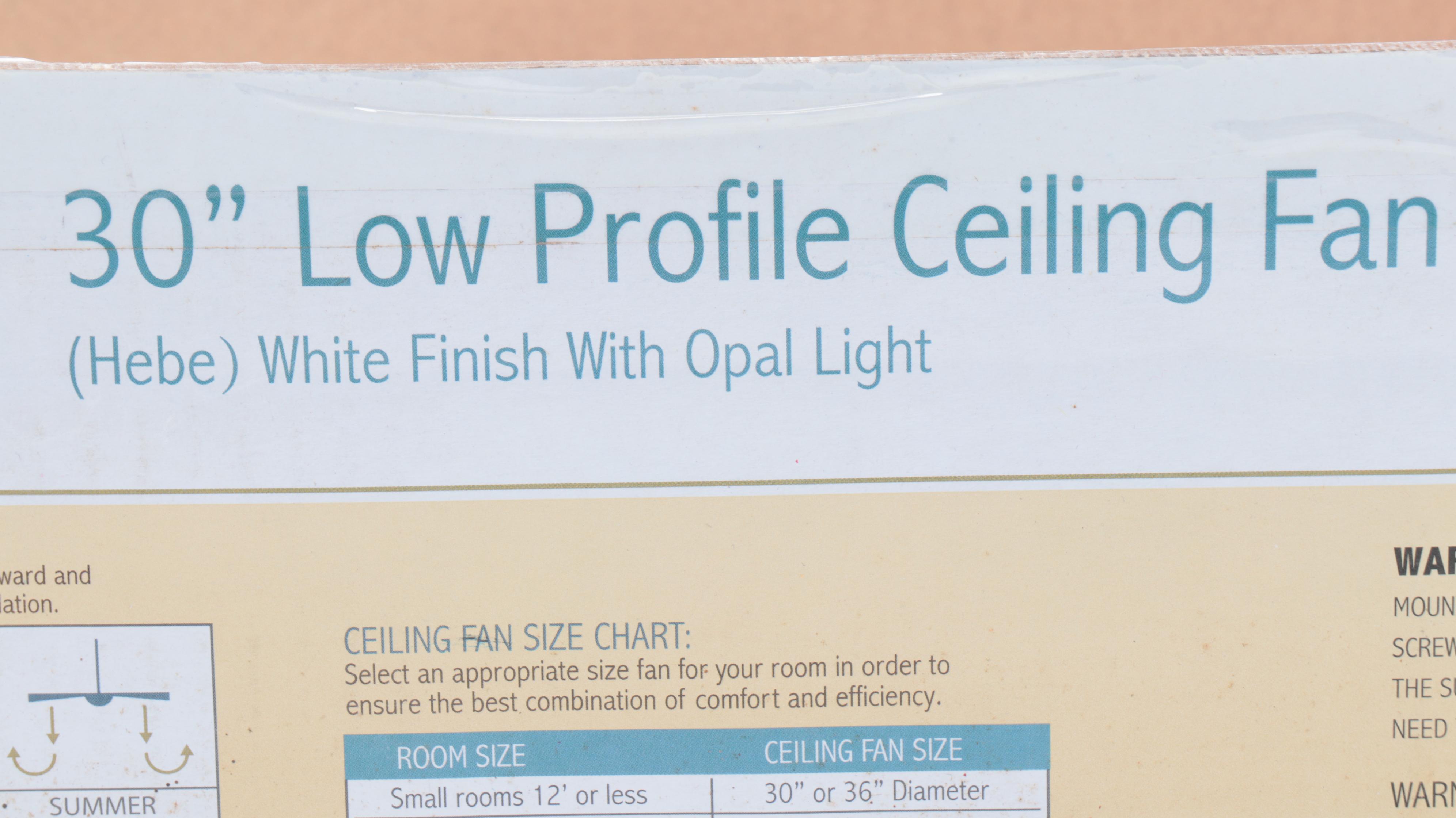 Turn of the Century Low Profile and Alliance 30" Ceiling Fans