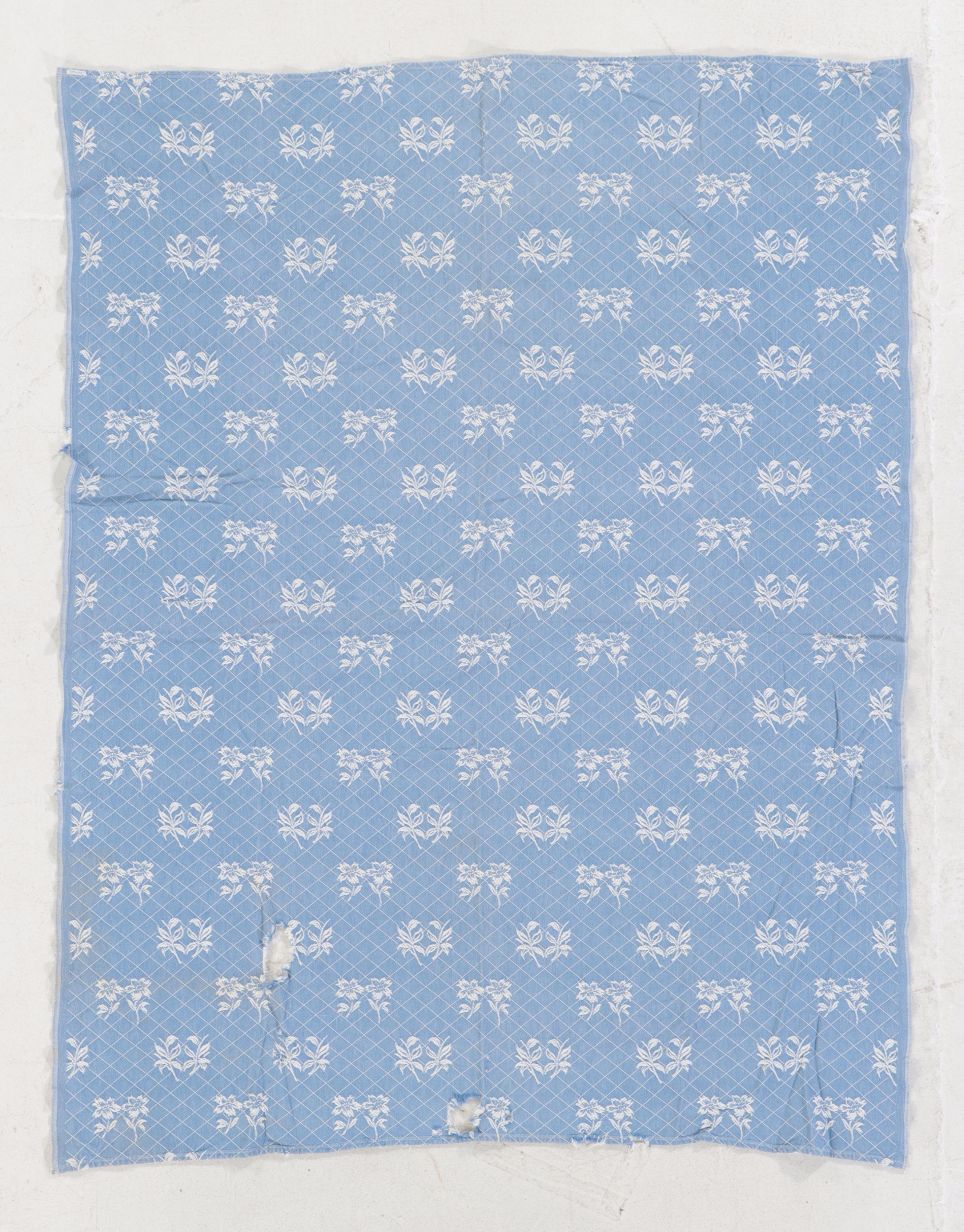 Blue and White Jacquard Woven Coverlet and Panel