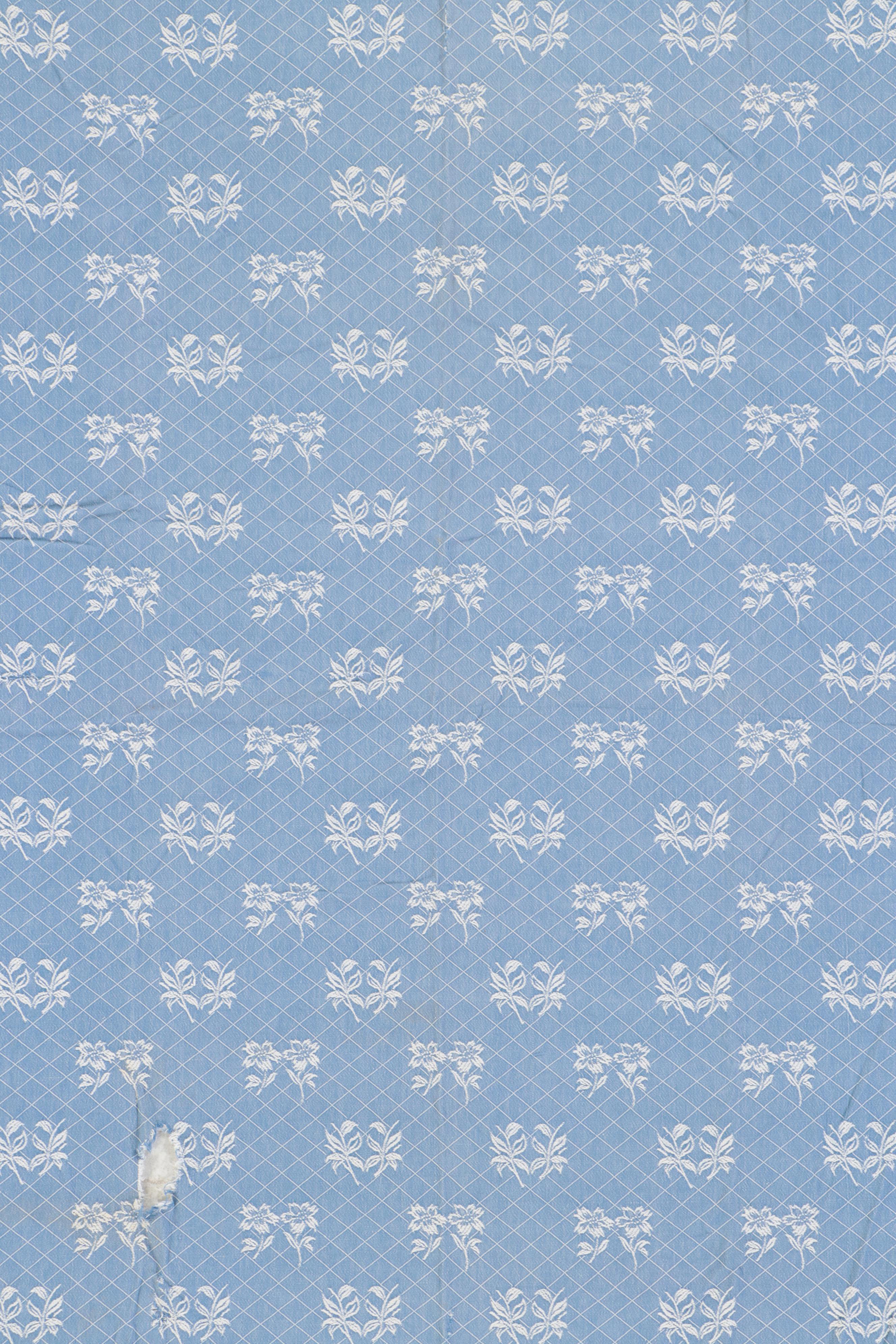 Blue and White Jacquard Woven Coverlet and Panel