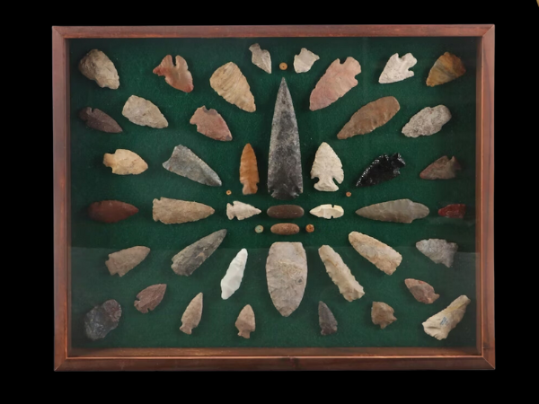 Eclectic Finds: Toys, Sports & Collectibles