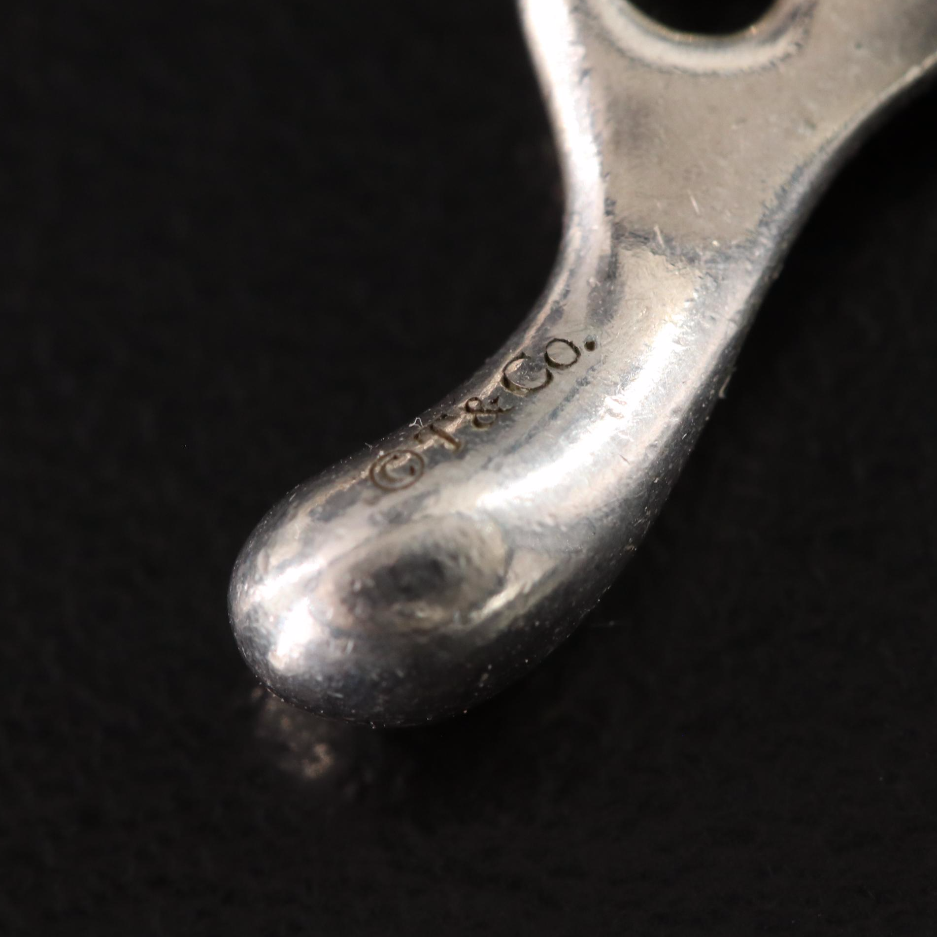 Tiffany & Co. Primrose Sterling and Amethyst Pendant Necklace