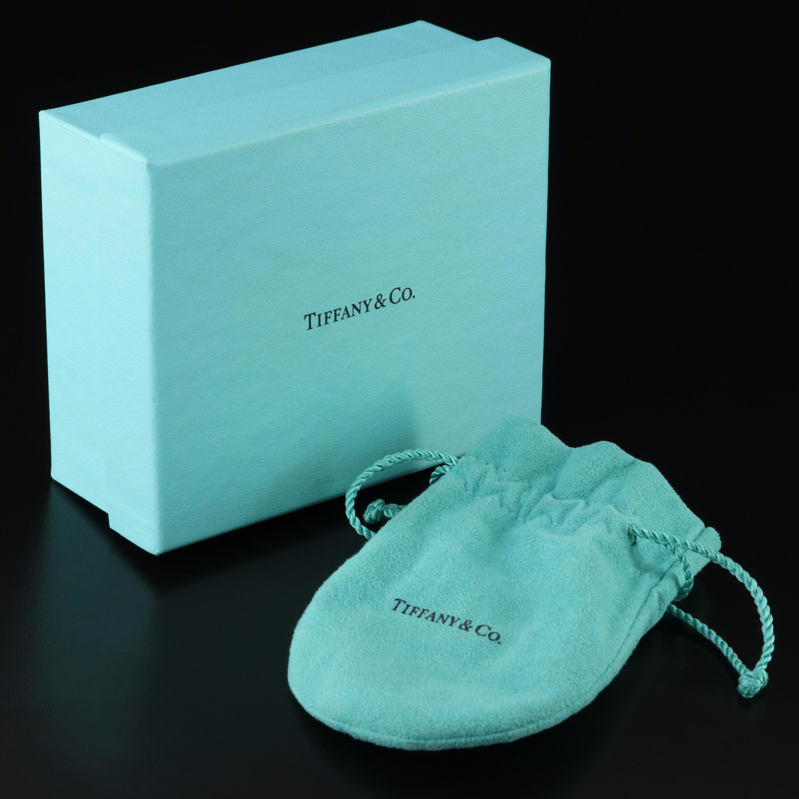 Tiffany & Co. Primrose Sterling and Amethyst Pendant Necklace