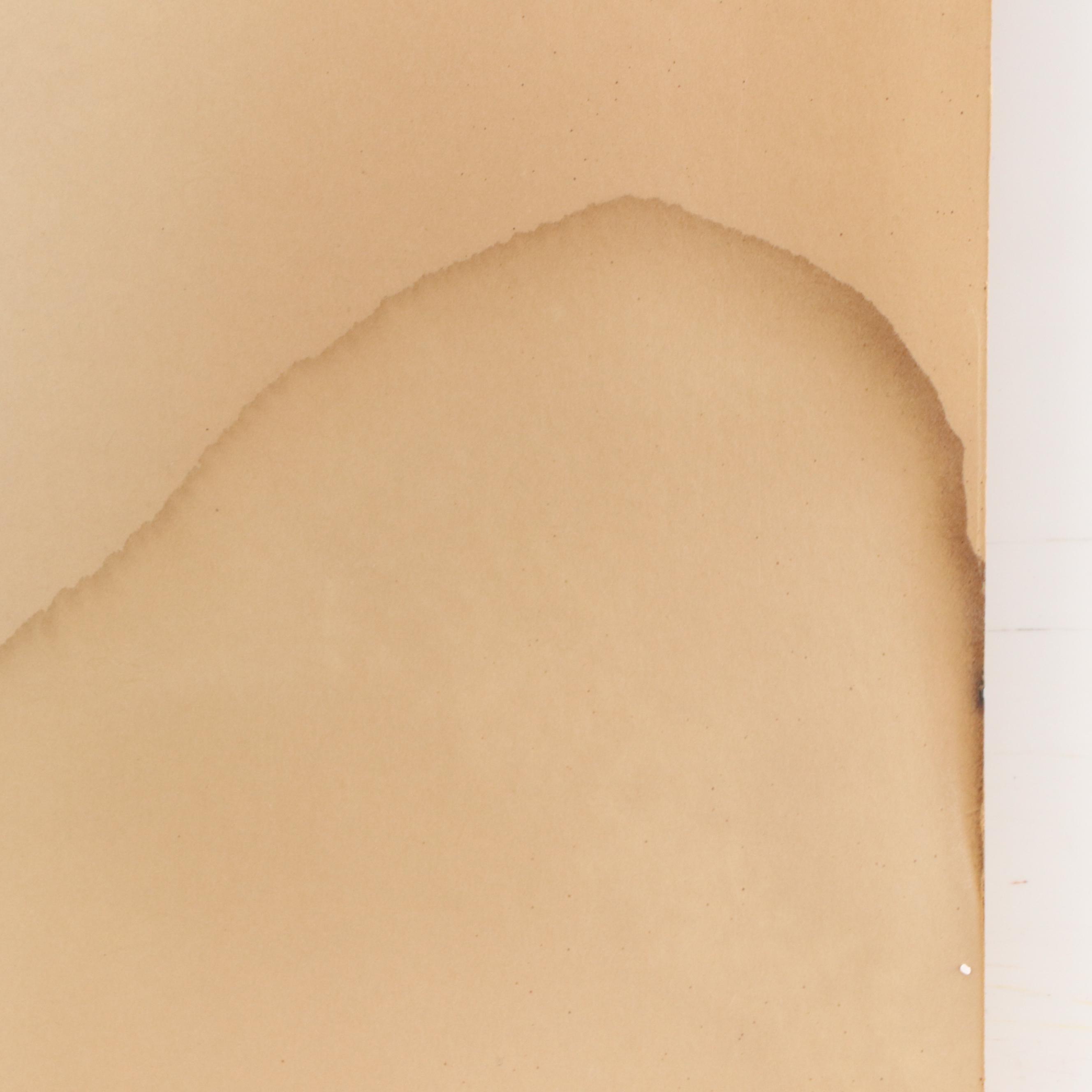 Henry Ossawa Tanner Smithsonian Halftone Exhibition Poster