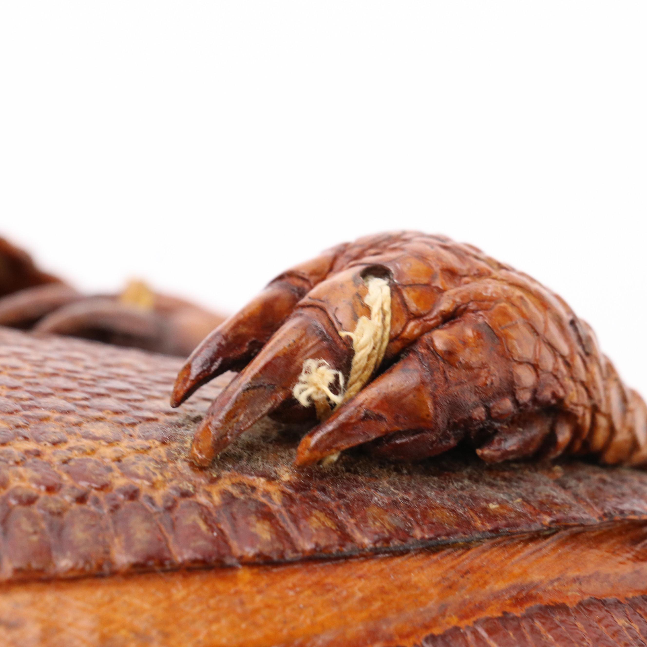 Nine-Banded Armadillo Hide Handbag