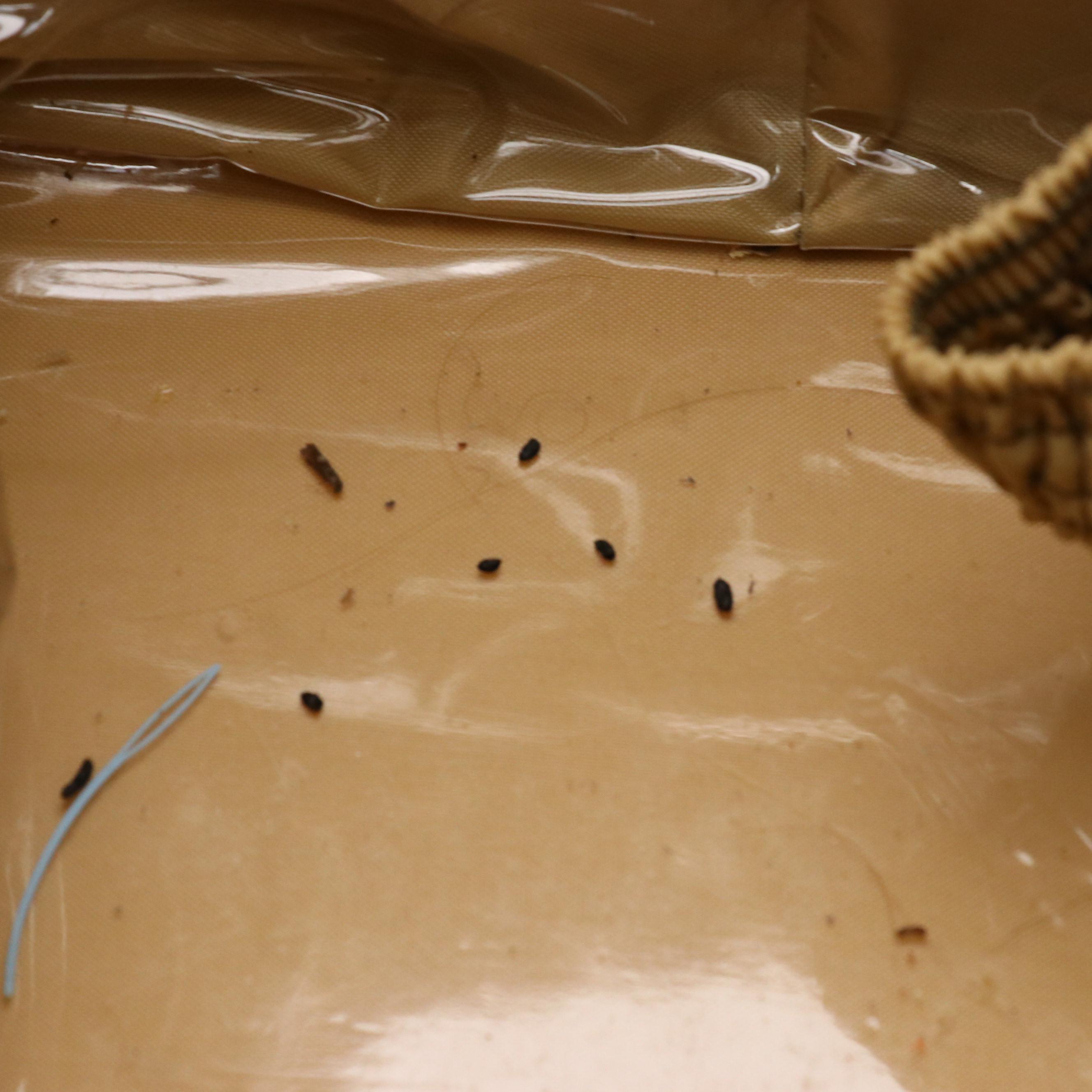 Hartmann Vintage Wings Collection Diamond Coated Canvas Cosmetic Travel Case