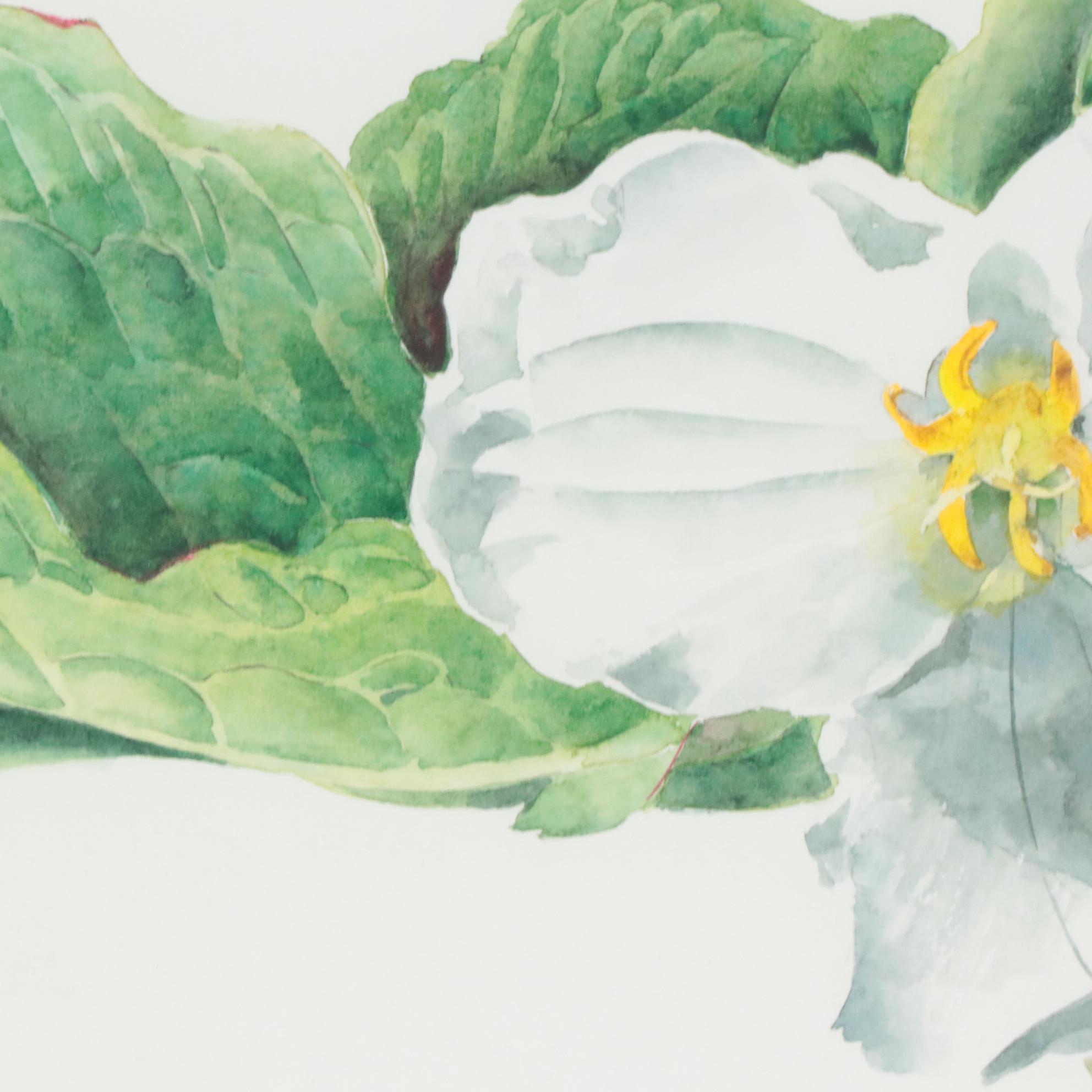 Marie Lamothe Watercolor Painting of Flower