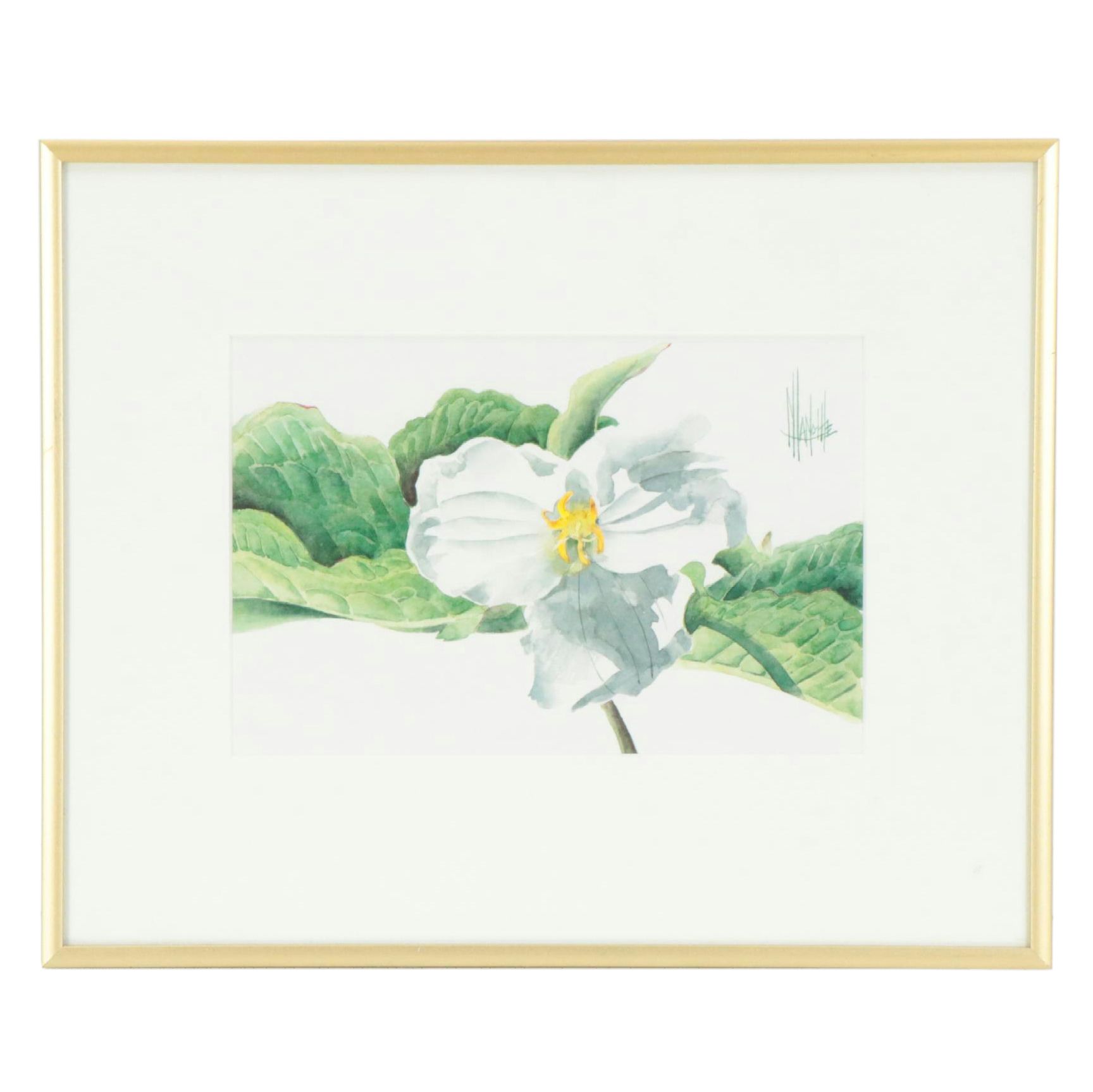 Marie Lamothe Watercolor Painting of Flower