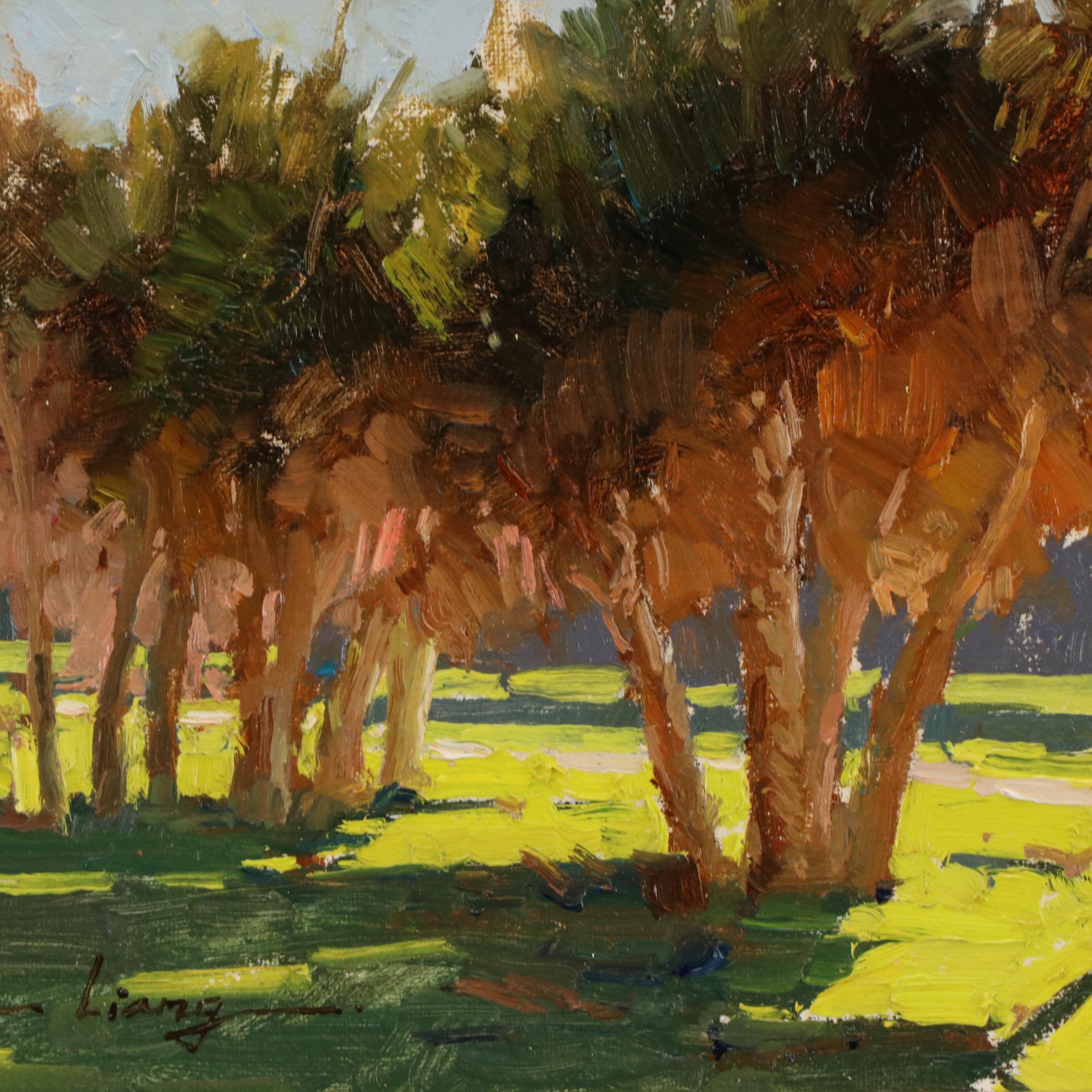 Calvin Liang Oil Landscape Painting "Shade / Shadows"
